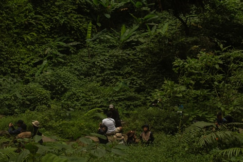 A group of people is gathered in a lush, dense forest area. They are sitting on the ground surrounded by rich green foliage, including various plants, trees, and ferns. The individuals are wearing casual clothing and hats, suggesting they are on a nature outing or expedition. The verdant greenery dominates the scene, providing a tranquil, immersive setting.