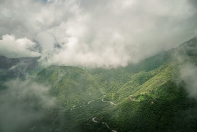 Travelers trekking through lush green Himalayan trails surrounded by mist.