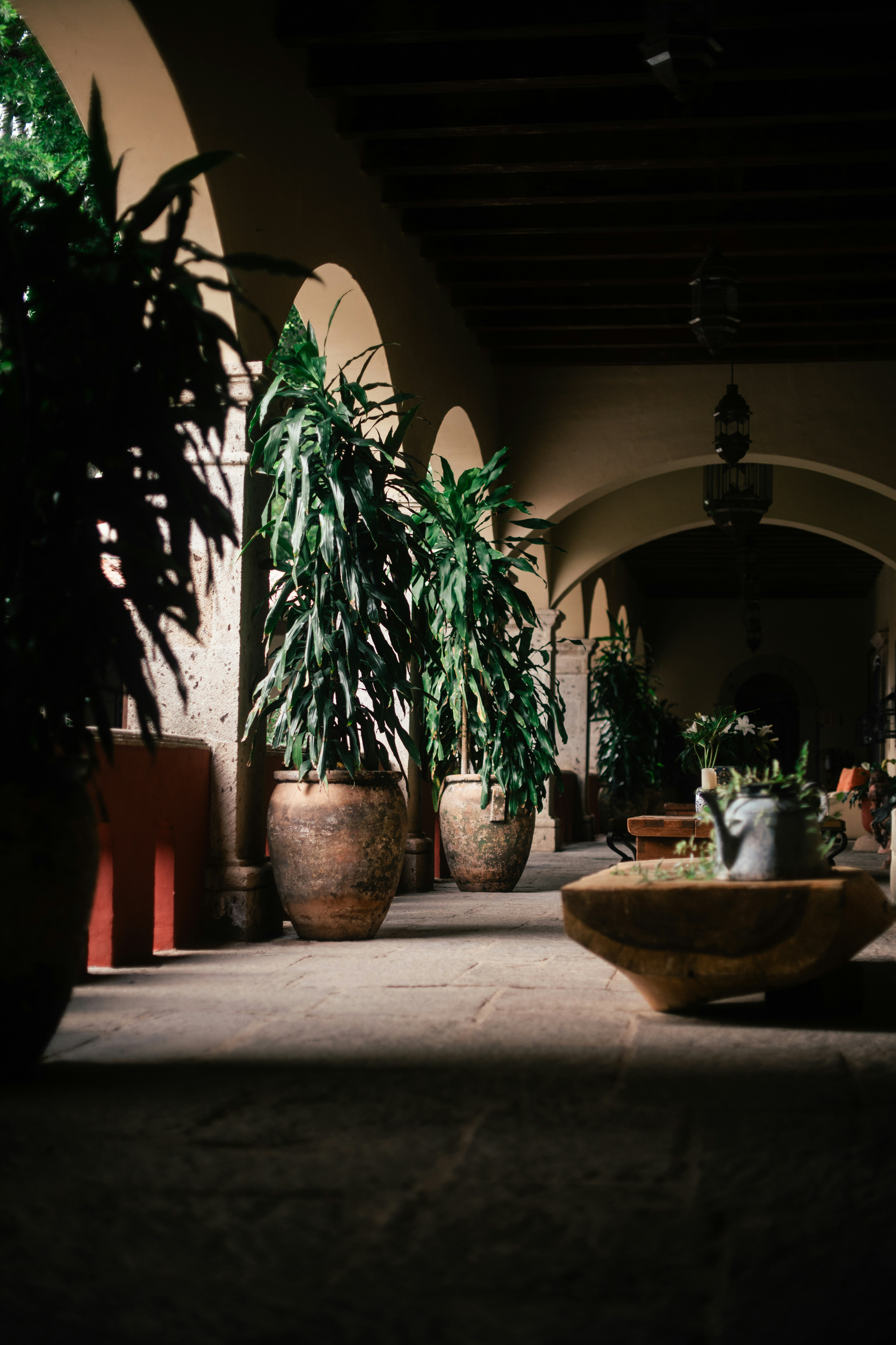 Photo by brunocervera