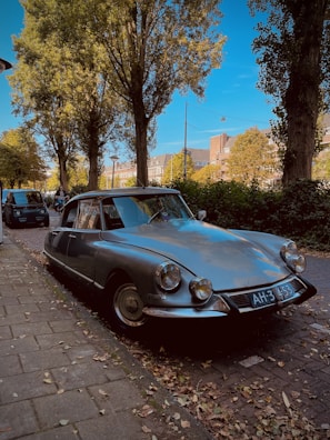 Classic 1950s American car parked in a scenic Loire Valley village street.