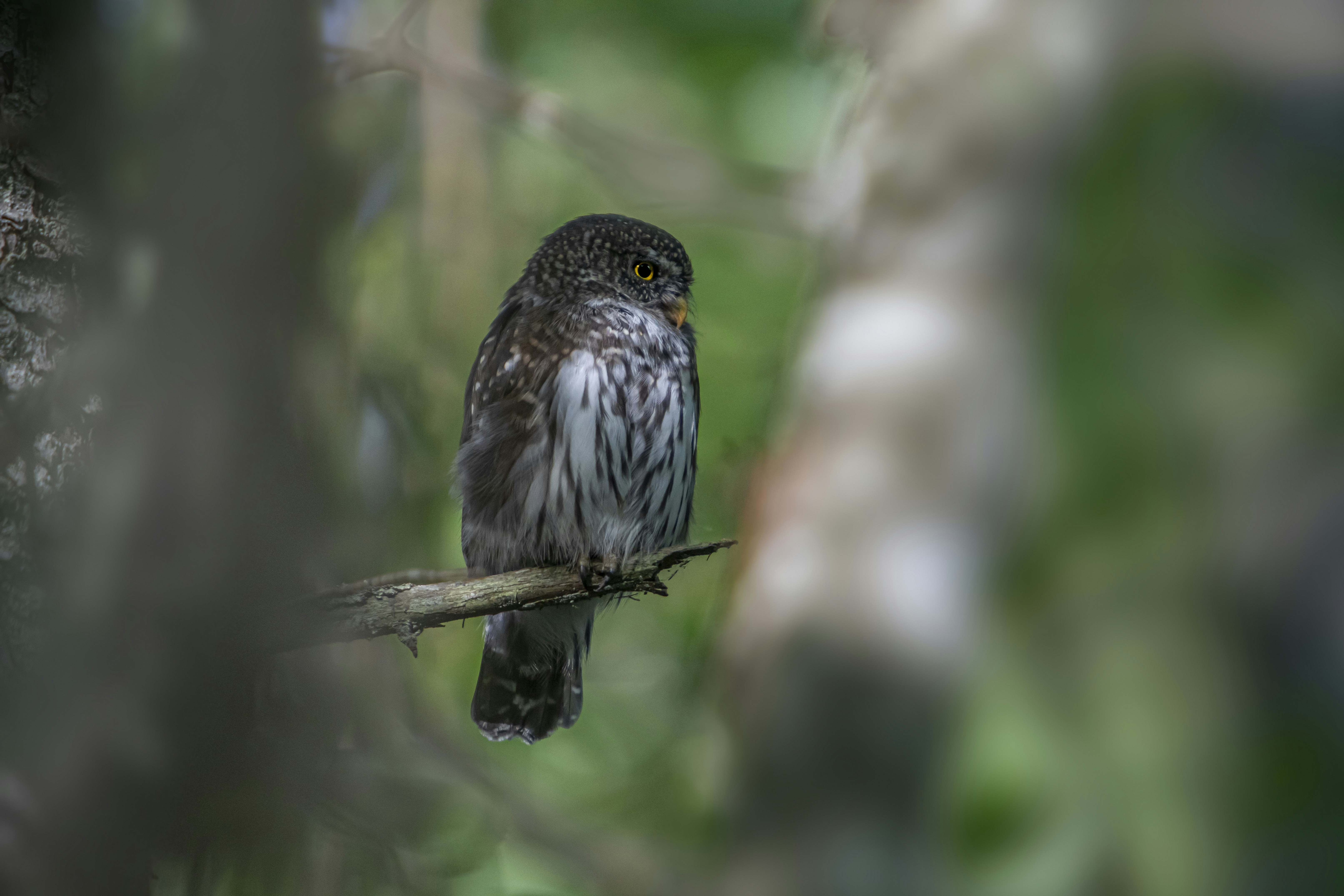 Photo by erik_karits