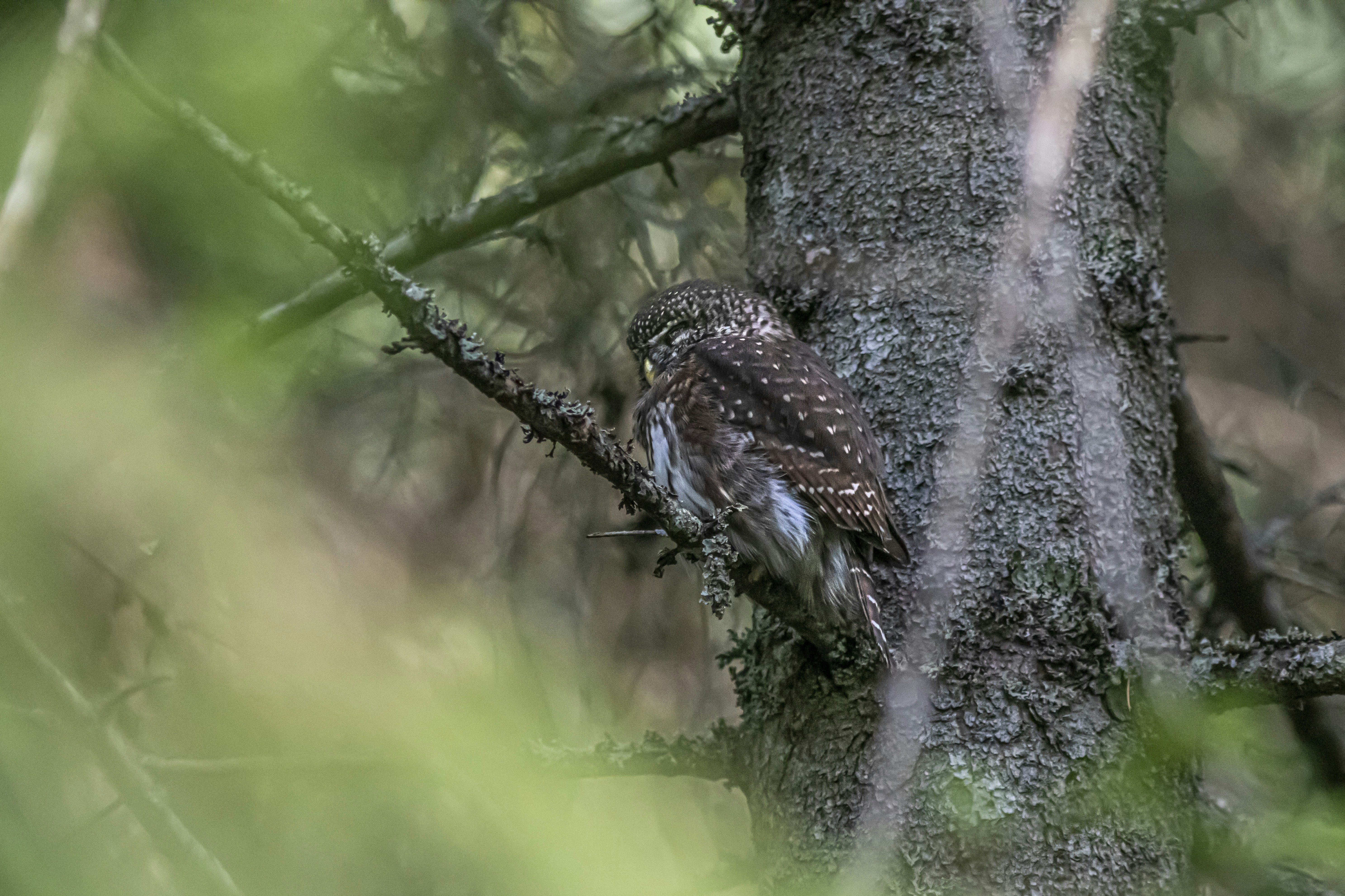 Photo by erik_karits