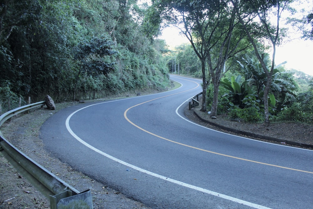 a curved road in the middle of a forest