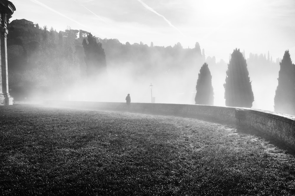 a black and white photo of a foggy park