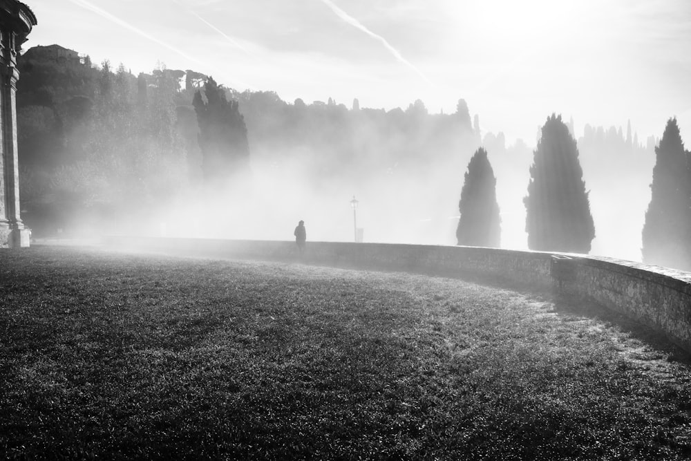 Una foto in bianco e nero di un parco nebbioso