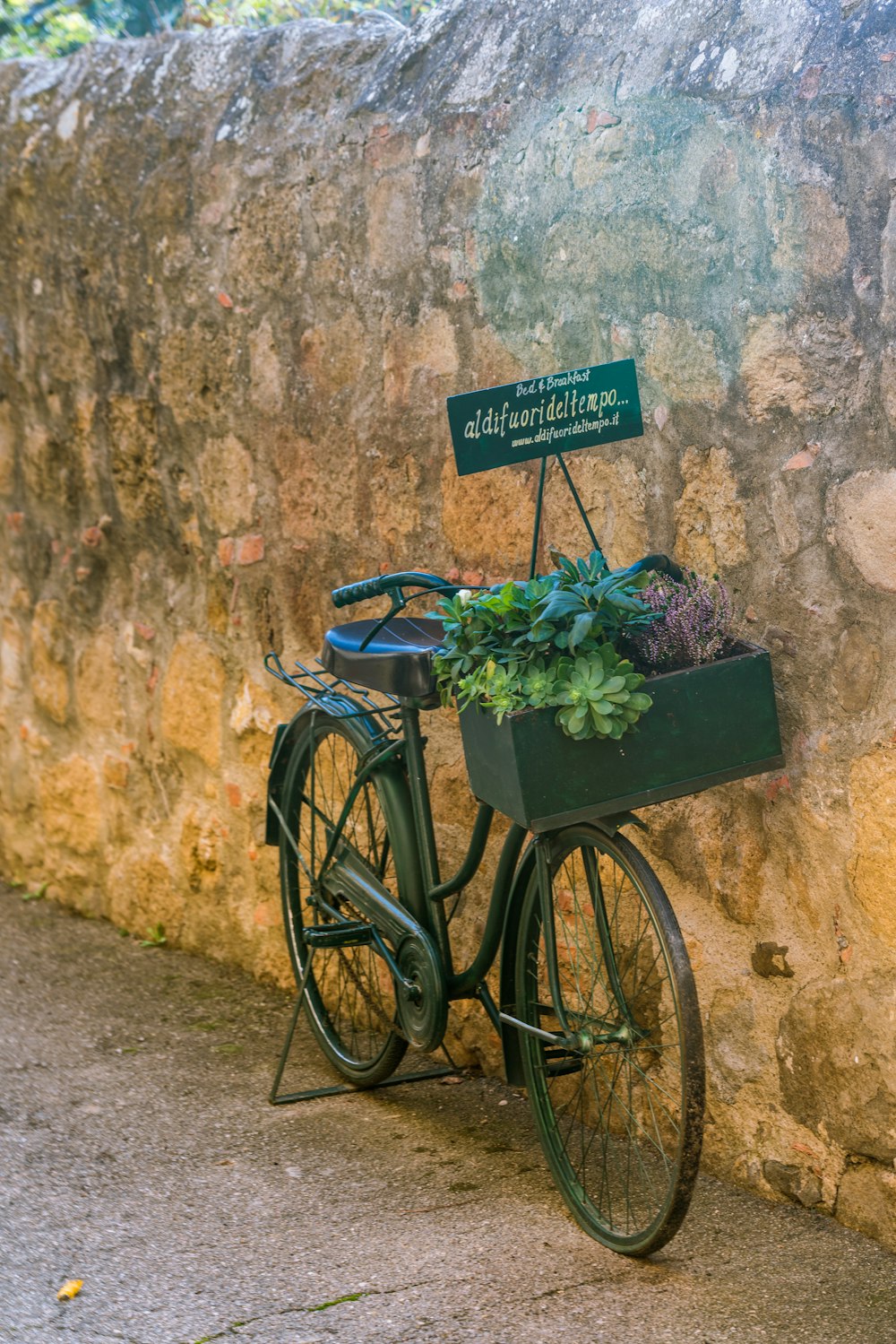 a bicycle with a planter attached to it