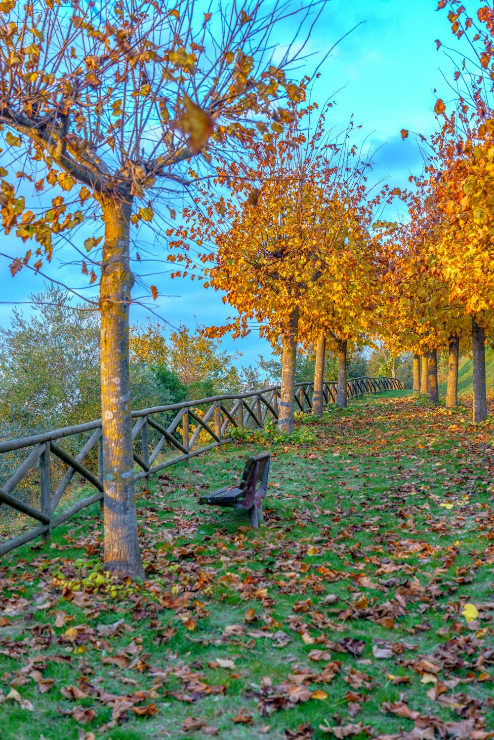 a wooden bench sitting in the middle of a park