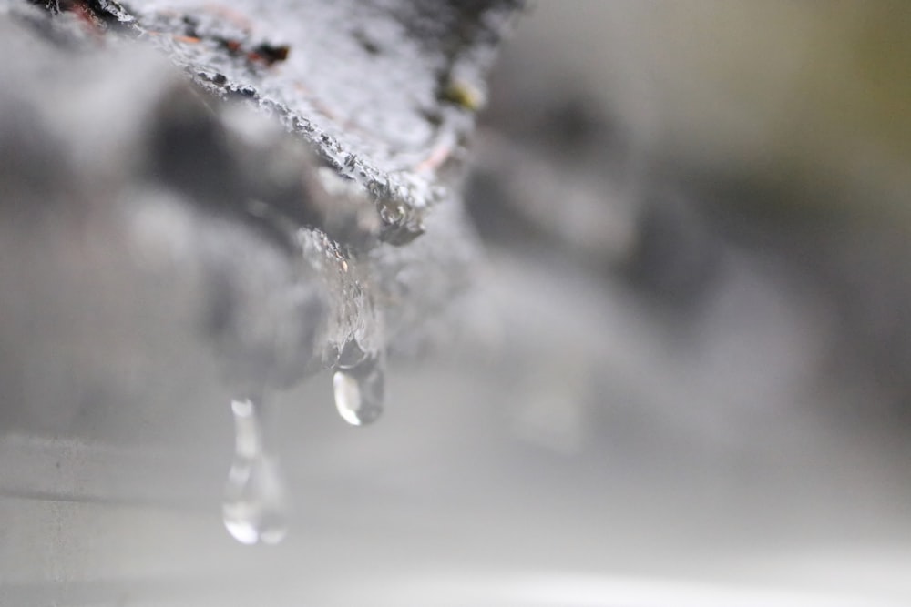 a close up of a water faucet with drops of water on it