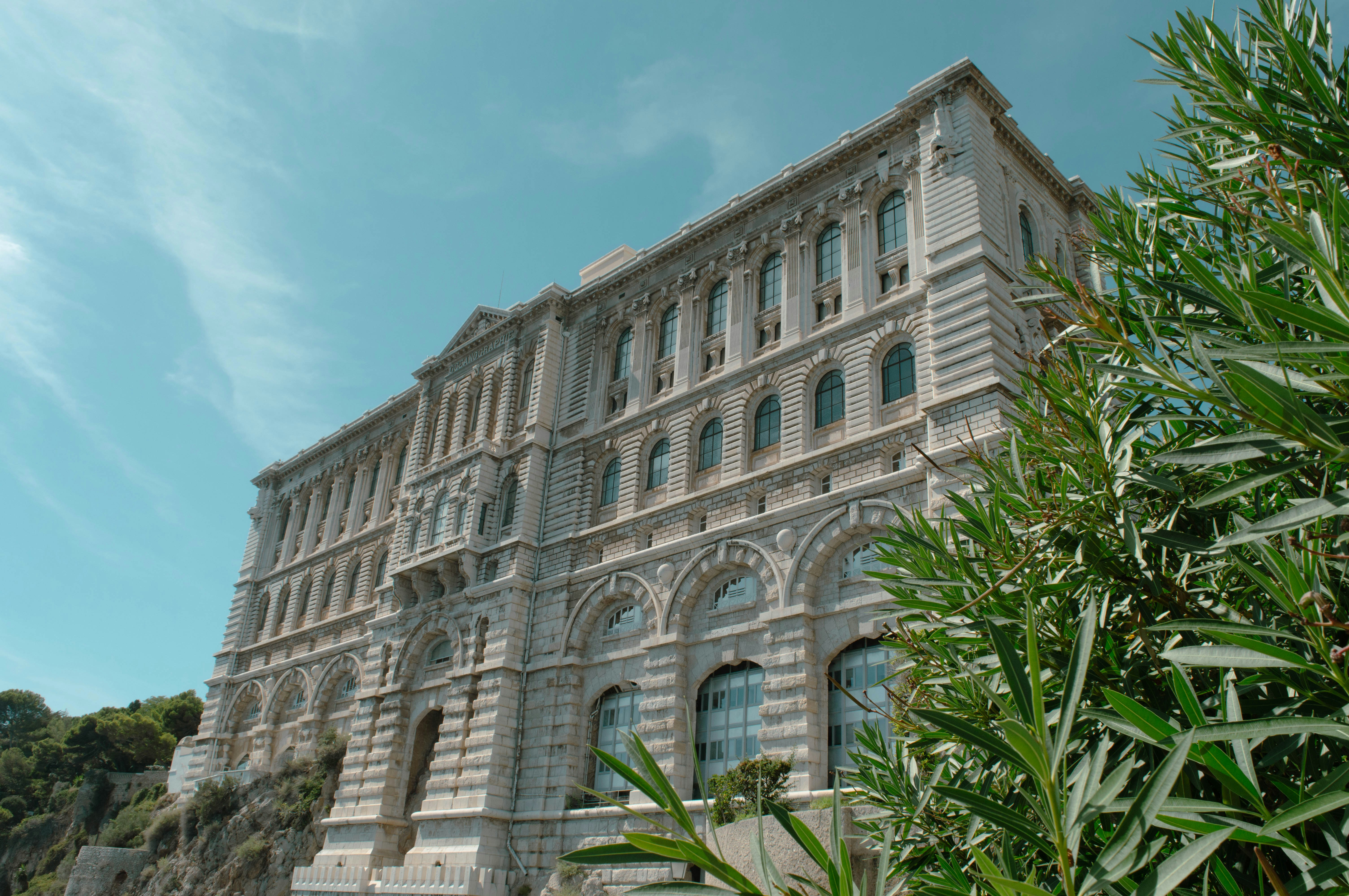 a large building with a lot of windows next to a tree
