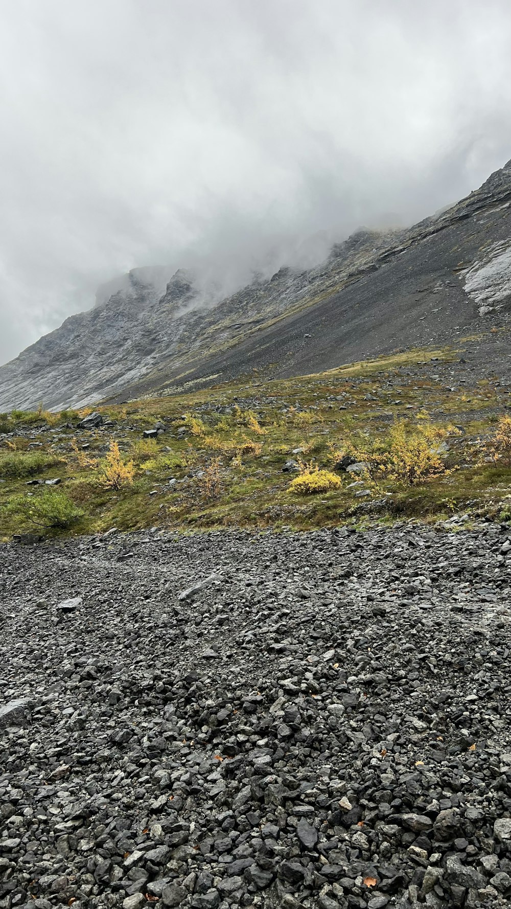 a rocky field with a mountain in the background