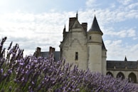 A historic stone castle with conical turrets stands prominently in the background, surrounded by fields of blooming lavender. The clear sky above is dotted with a few white clouds, enhancing the serene atmosphere of the landscape.