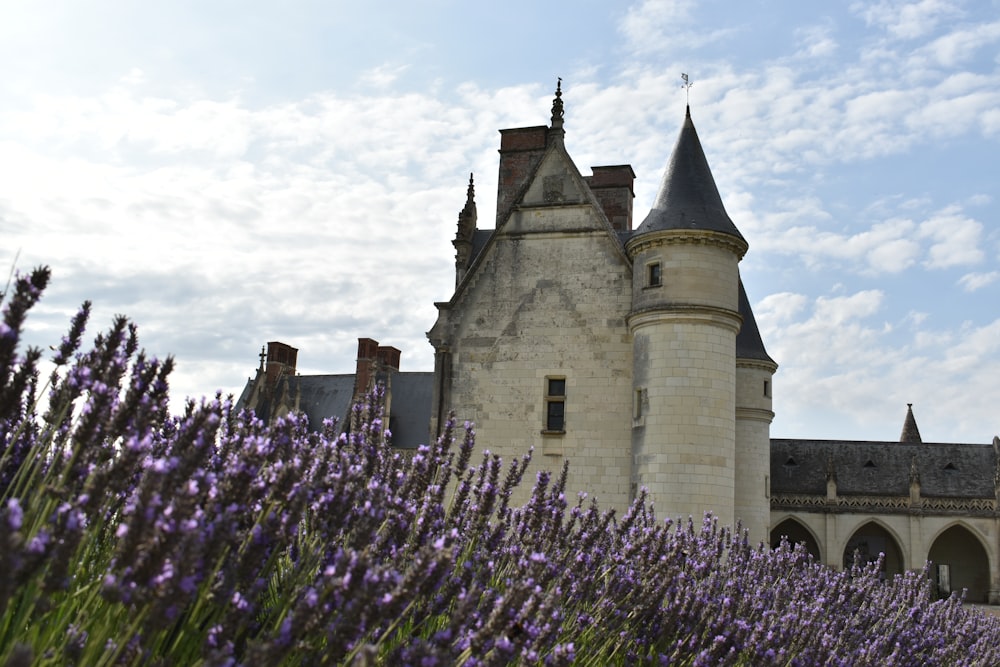 a castle surrounded by purple flowers under a blue sky