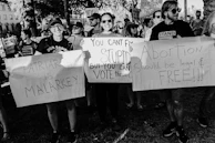 A group of people in a demonstration hold various placards with slogans advocating for women's rights and criticizing patriarchy. The scene is intense and crowded with participants showing strong expressions of activism.