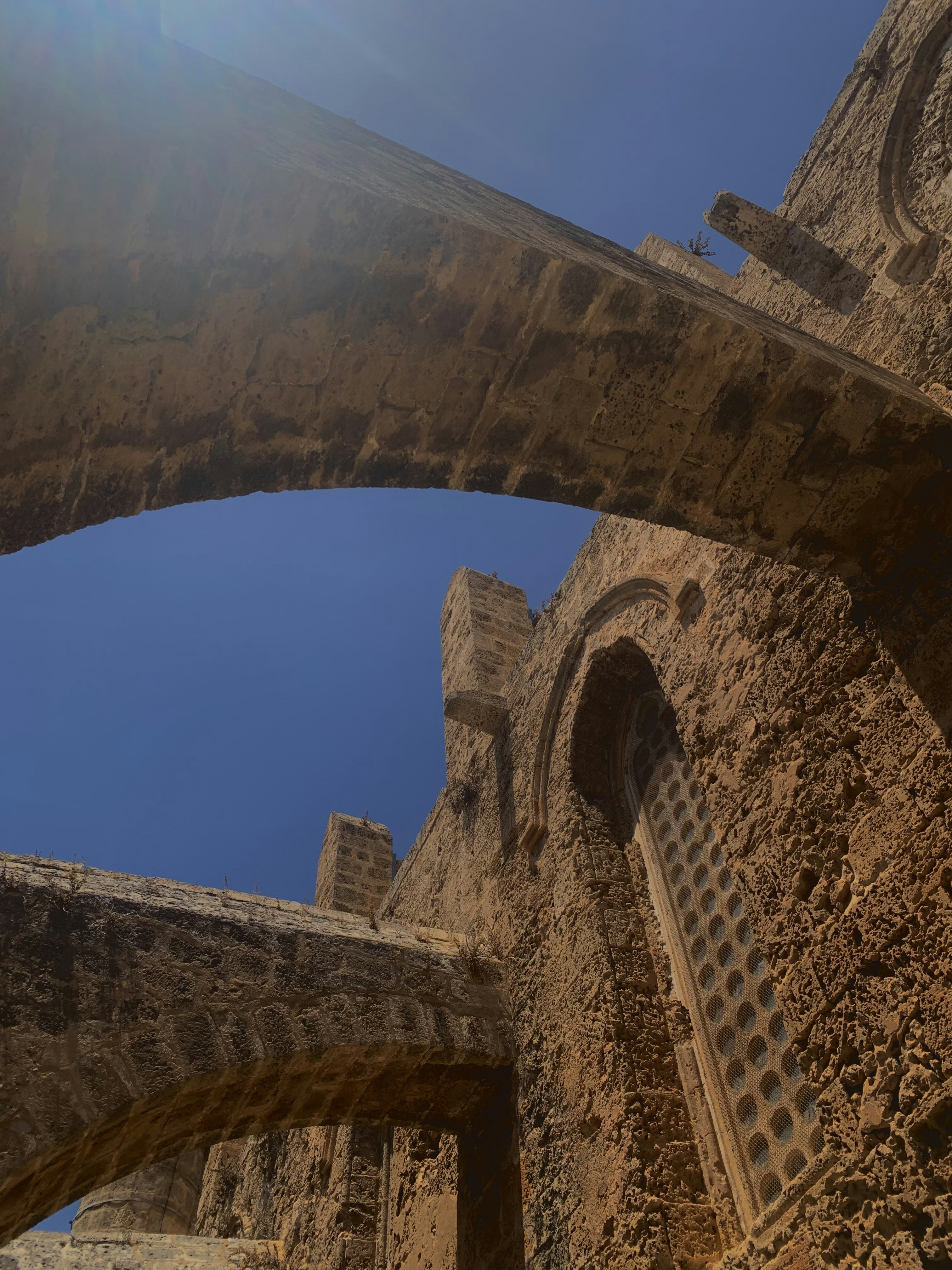 Photo by iremakcaglayan