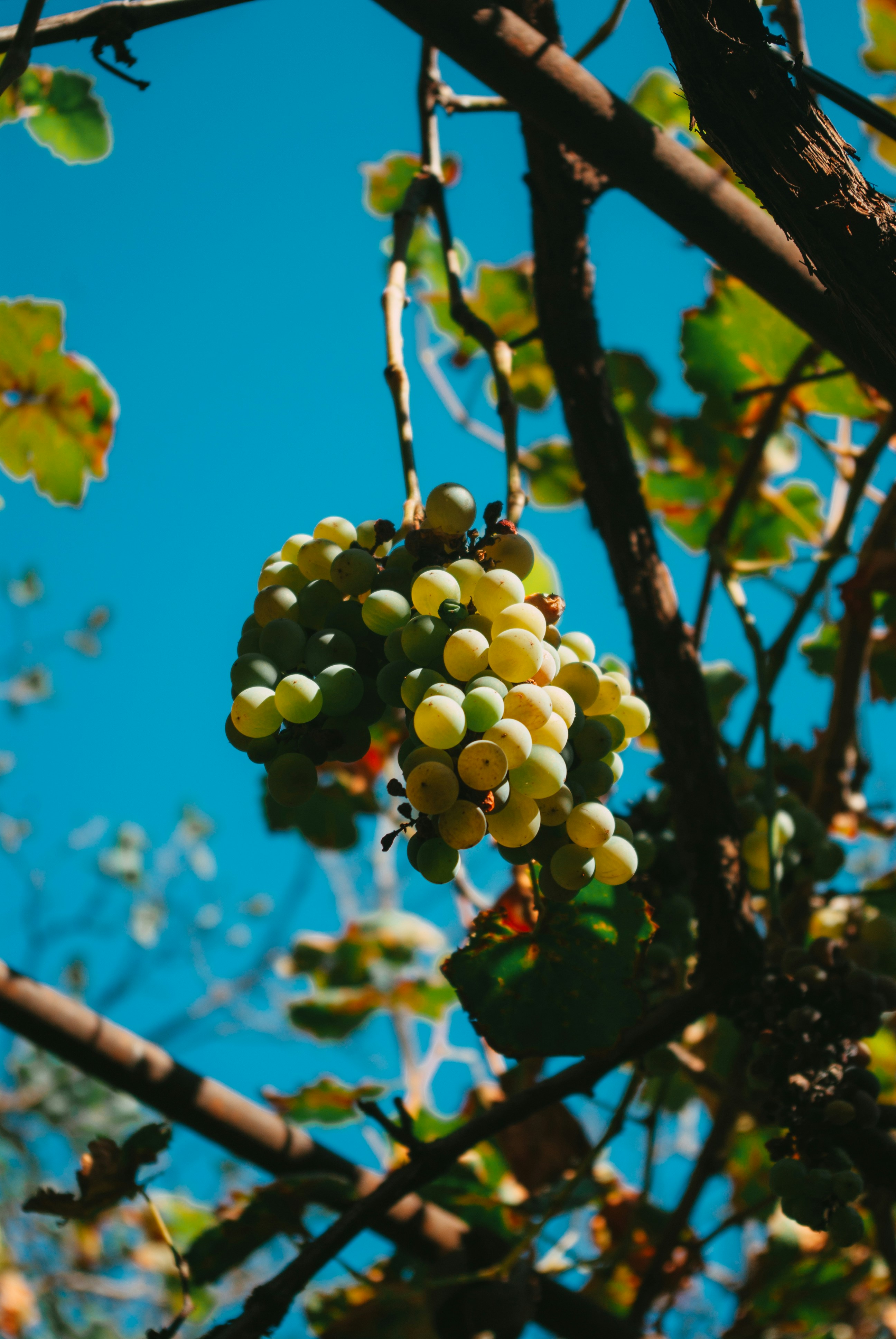 Photo by moonmoons_days