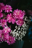 a bunch of pink and white flowers in a vase