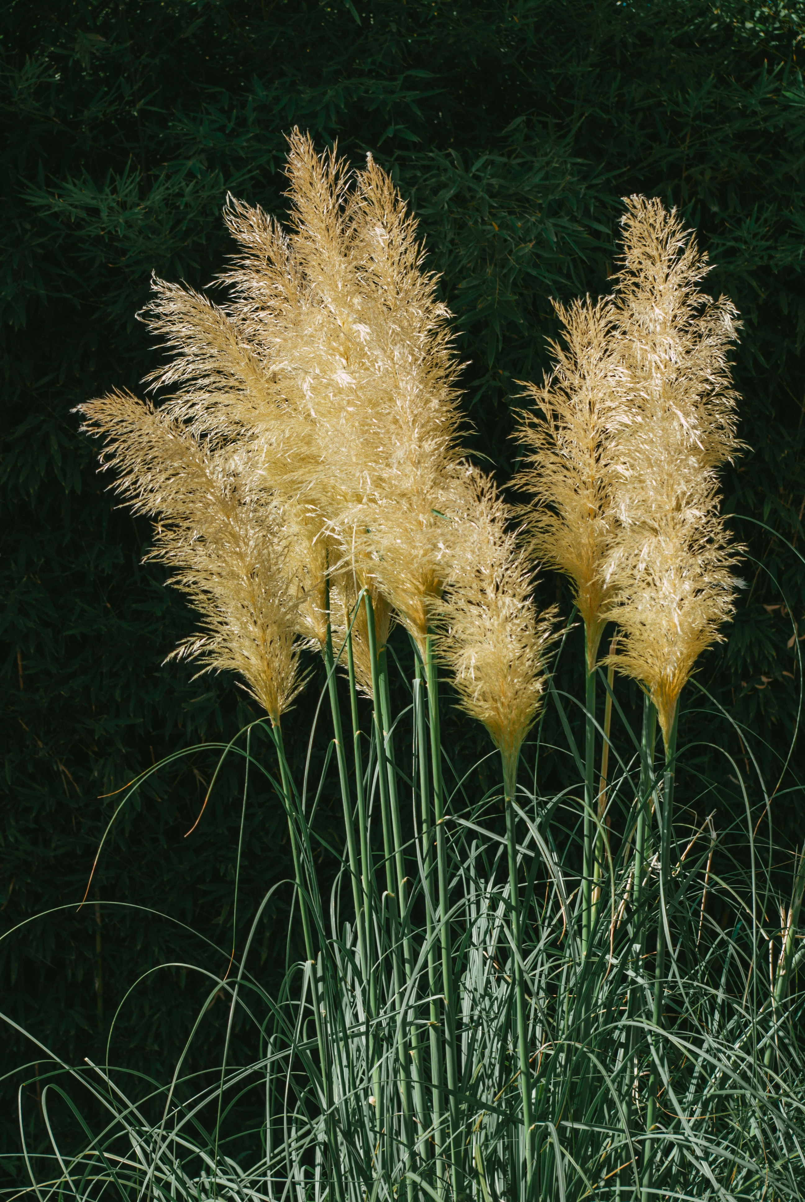 Photo by moonmoons_days