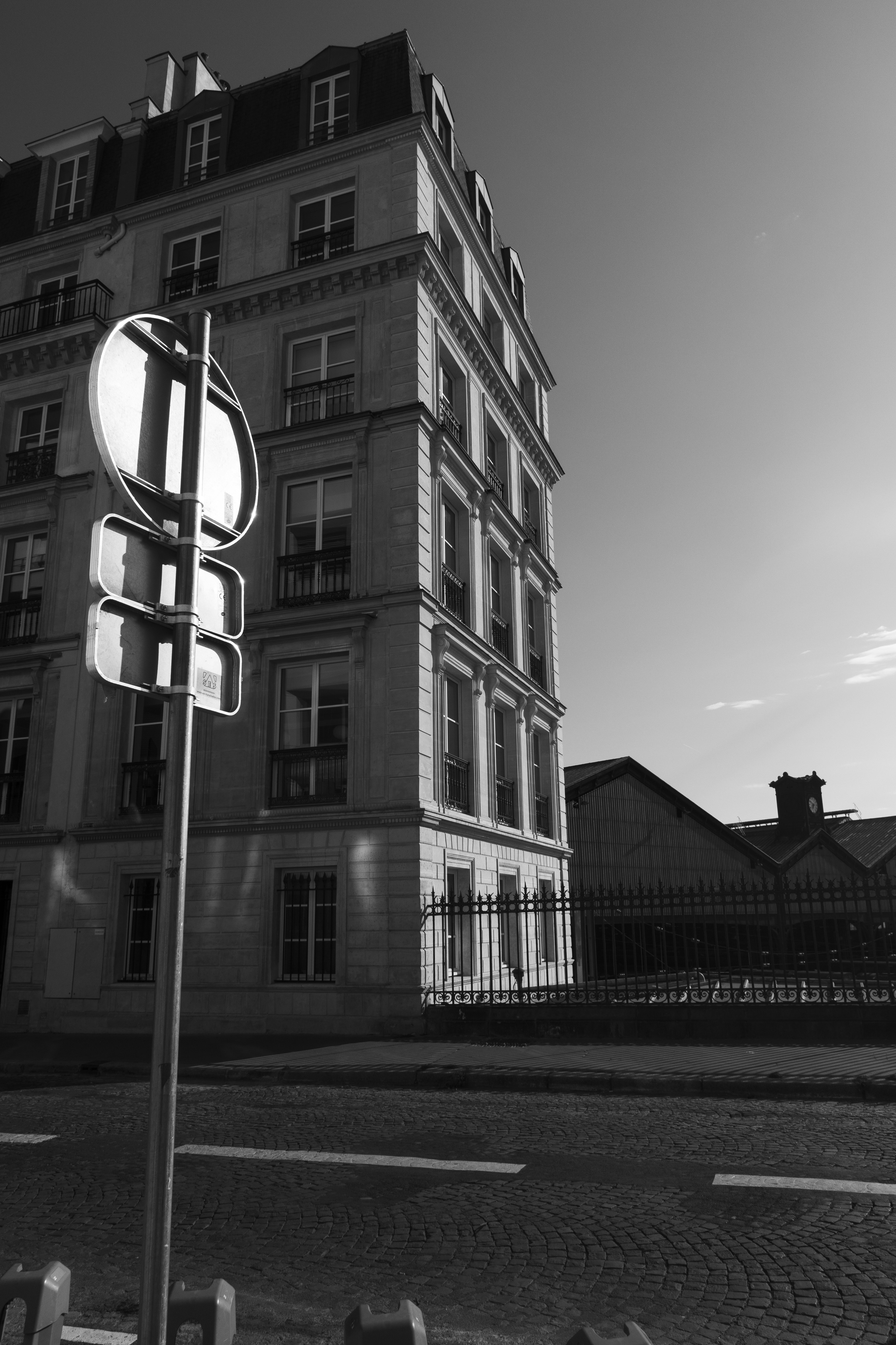 Photo by inspired_pup