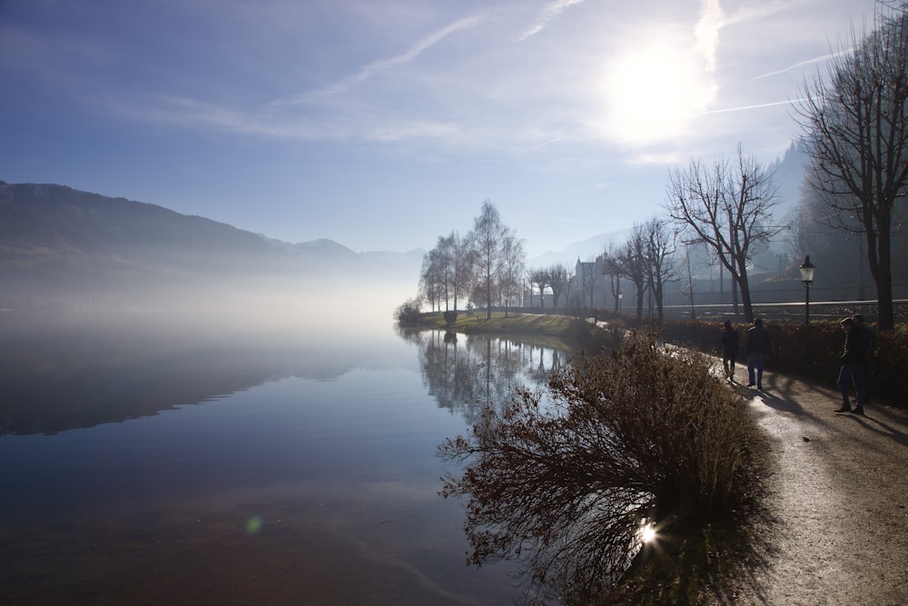 a body of water surrounded by trees and fog