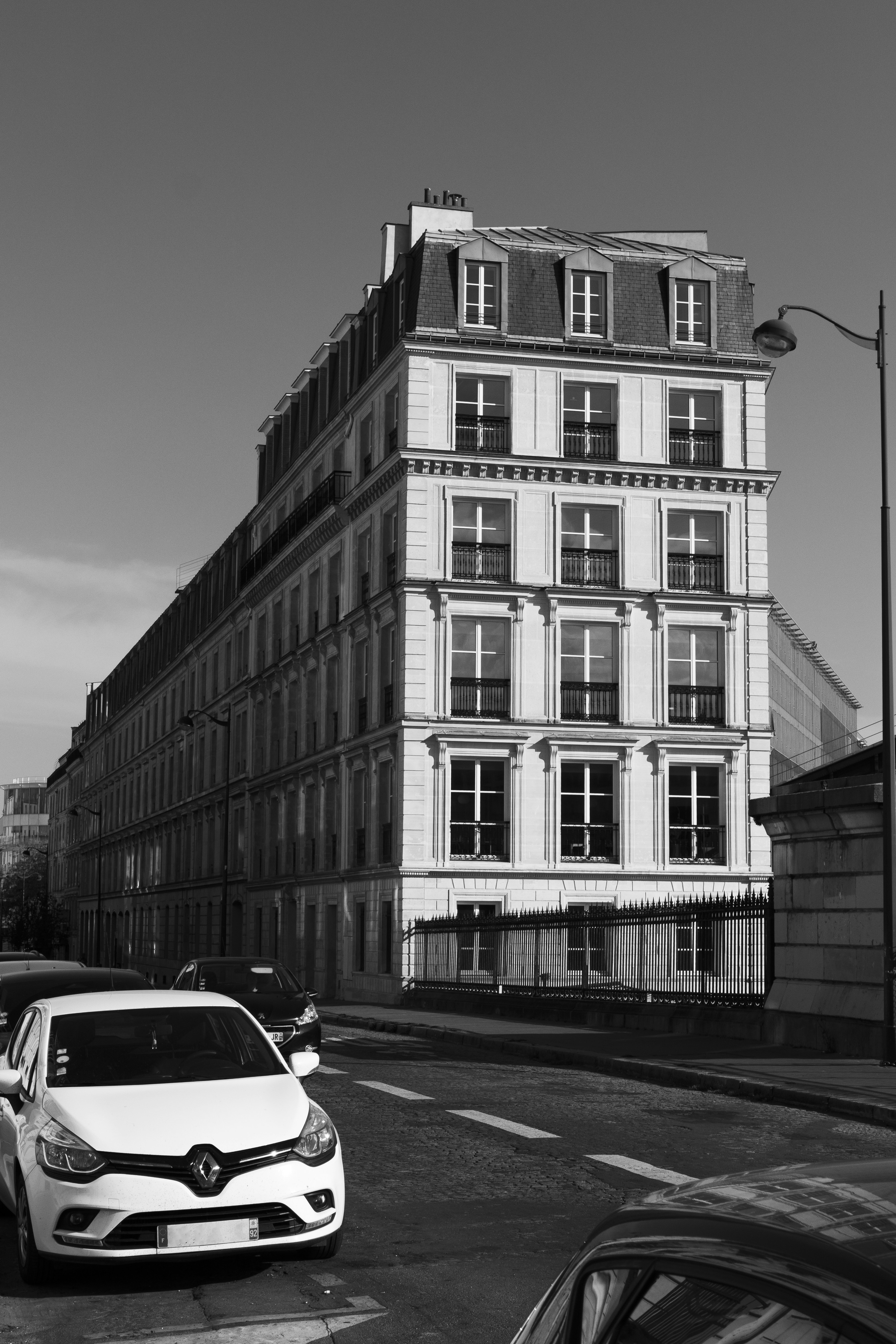 Photo by inspired_pup