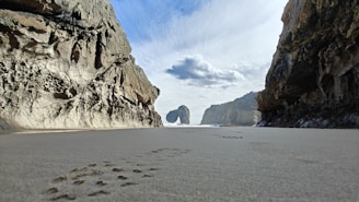 a view of a beach with a rock formation in the background