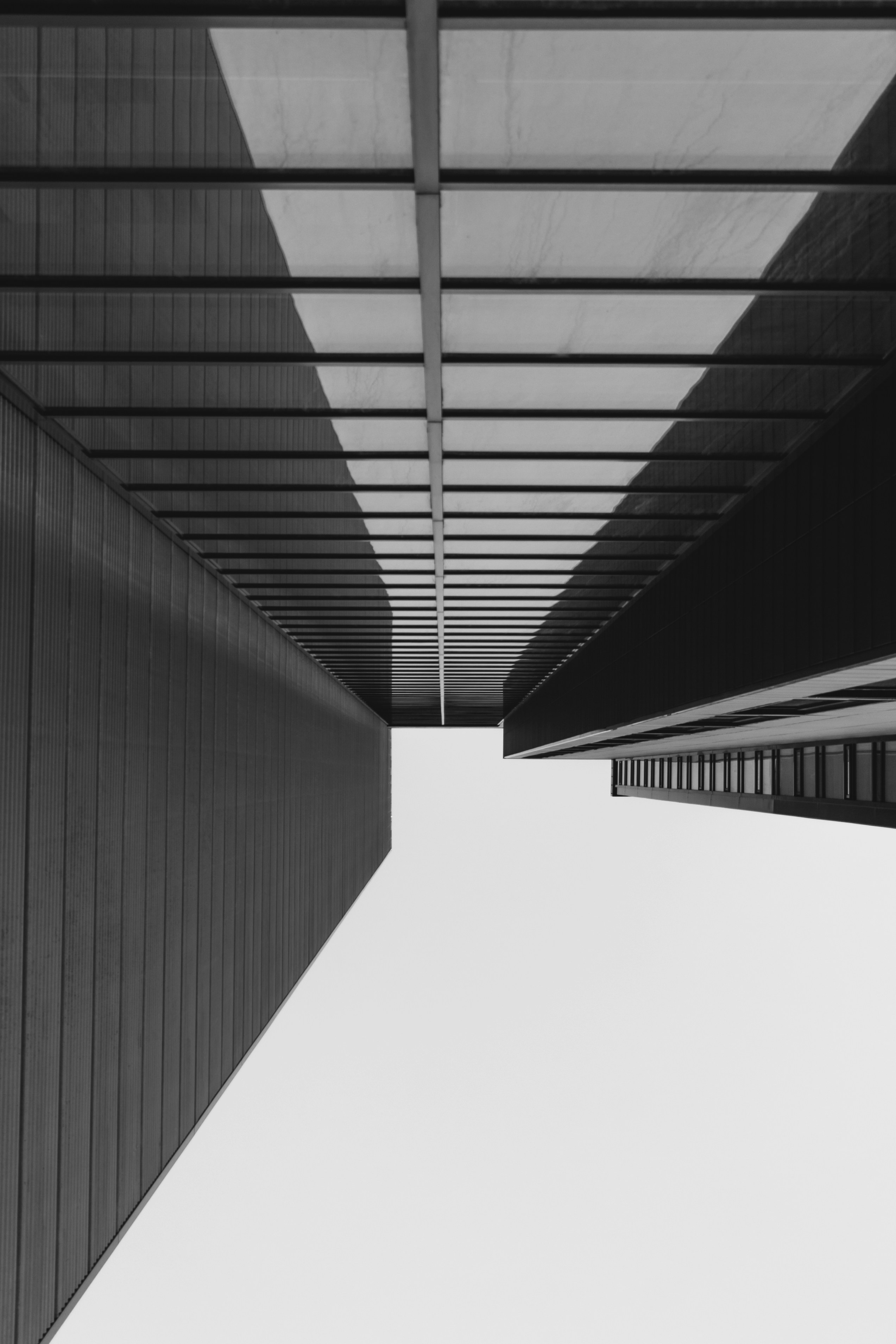 Photo by robertarnar