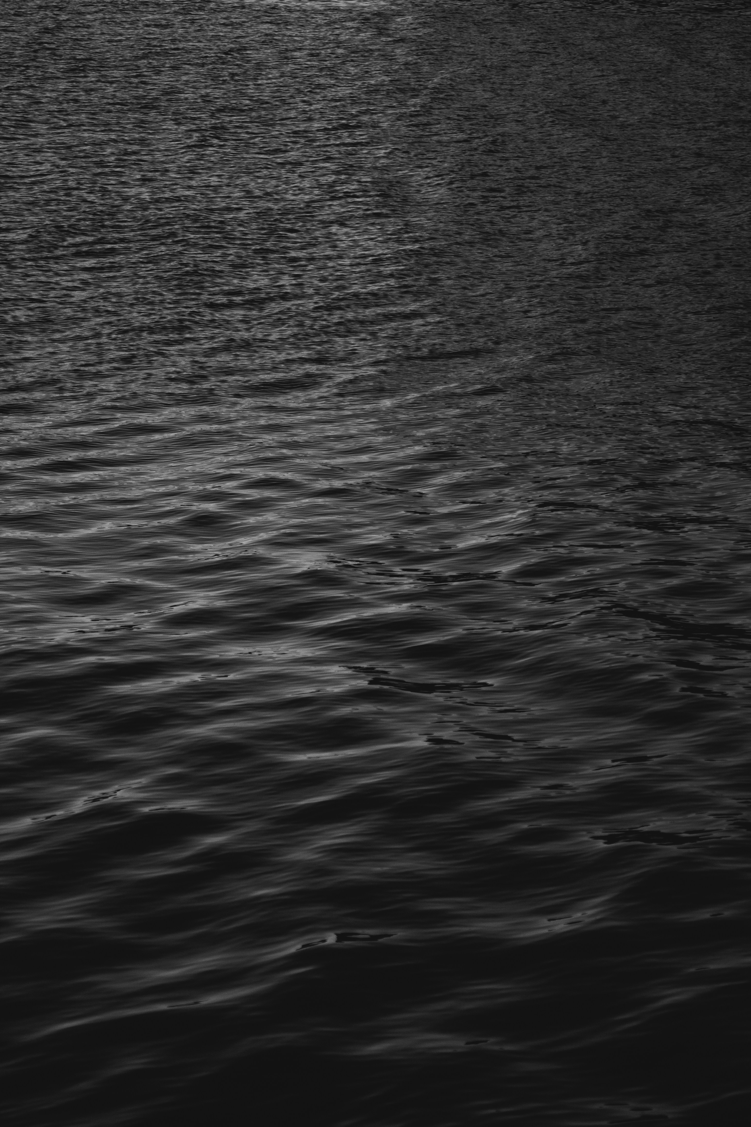 Photo by robertarnar