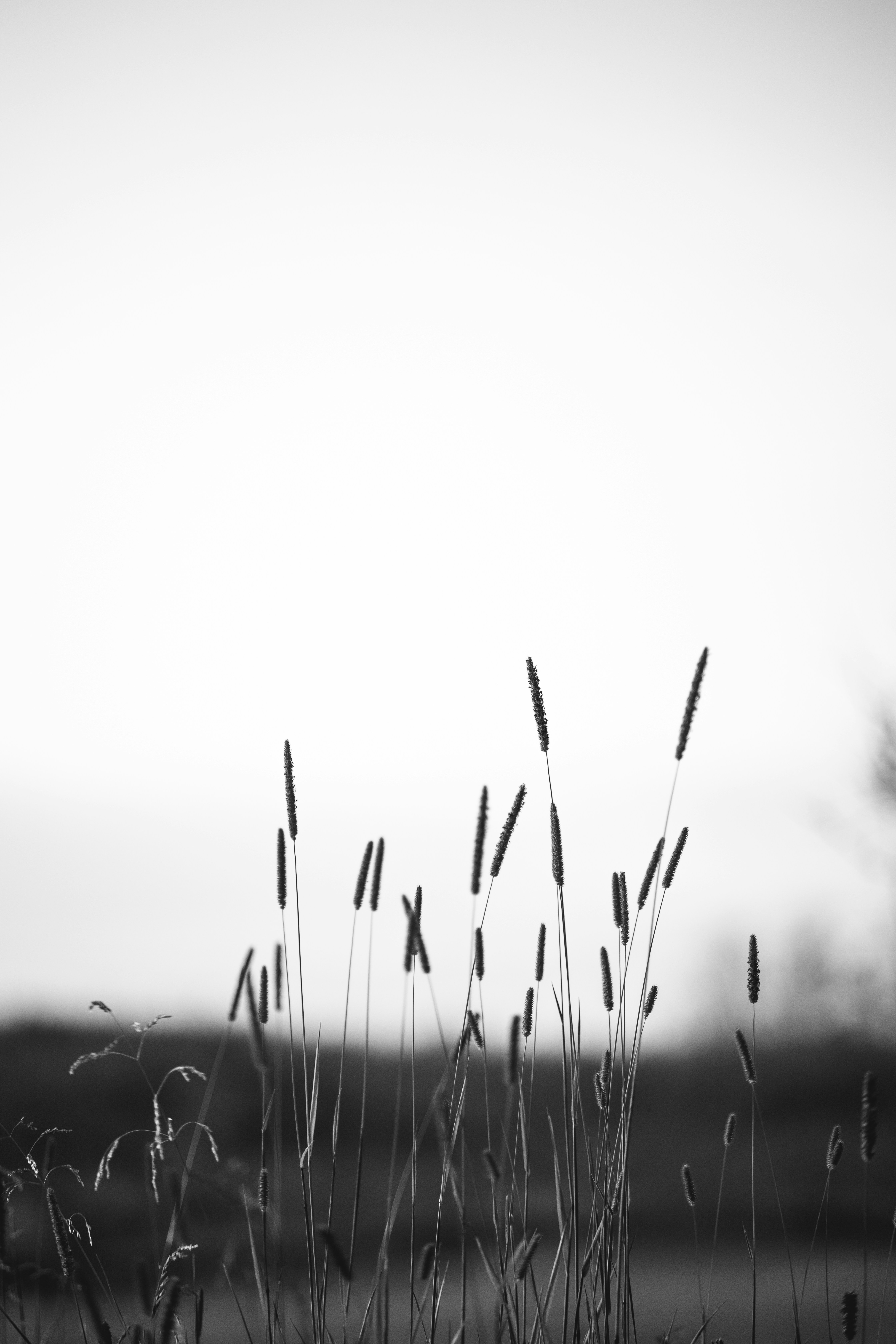 Photo by robertarnar