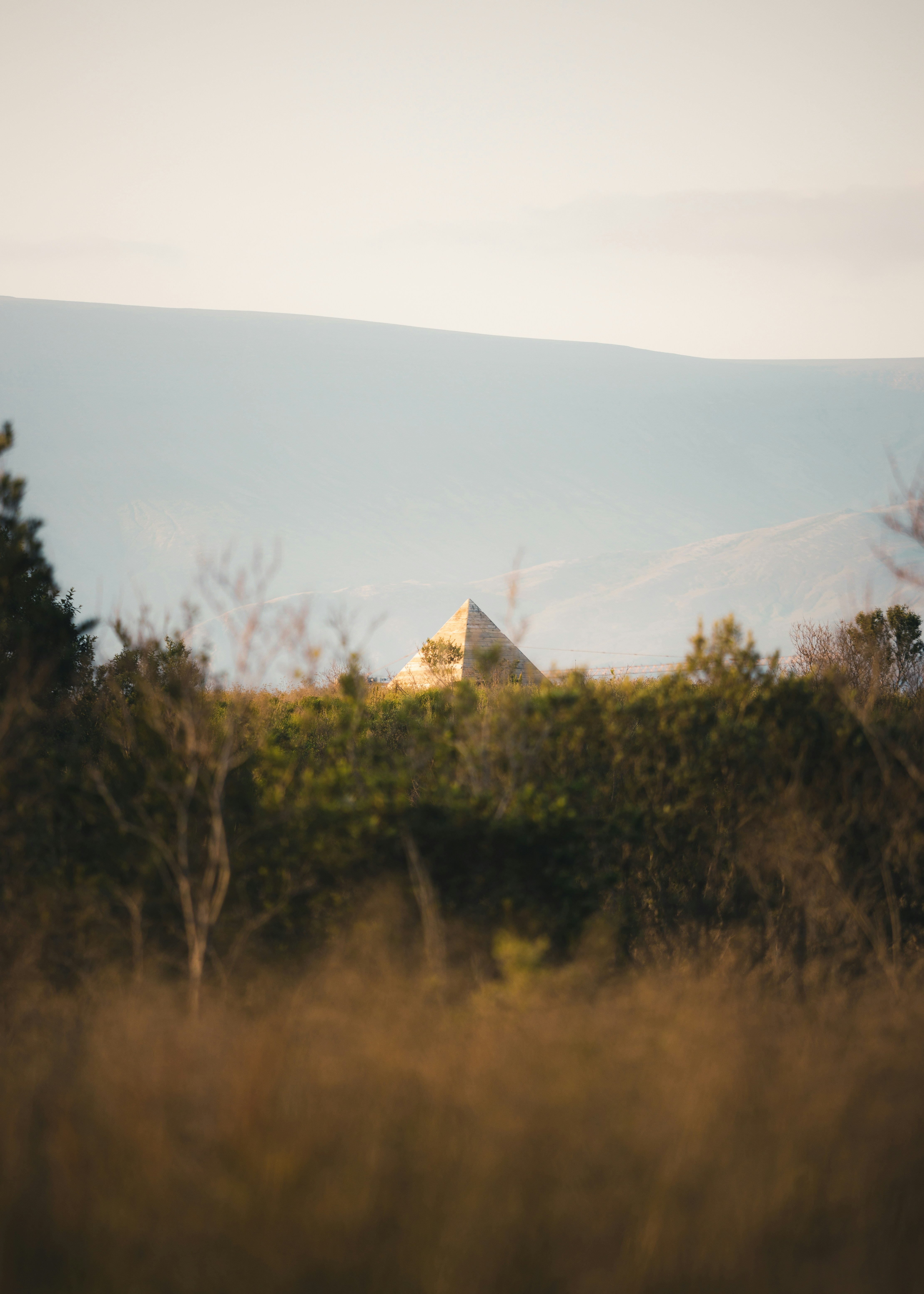 Photo by robertarnar