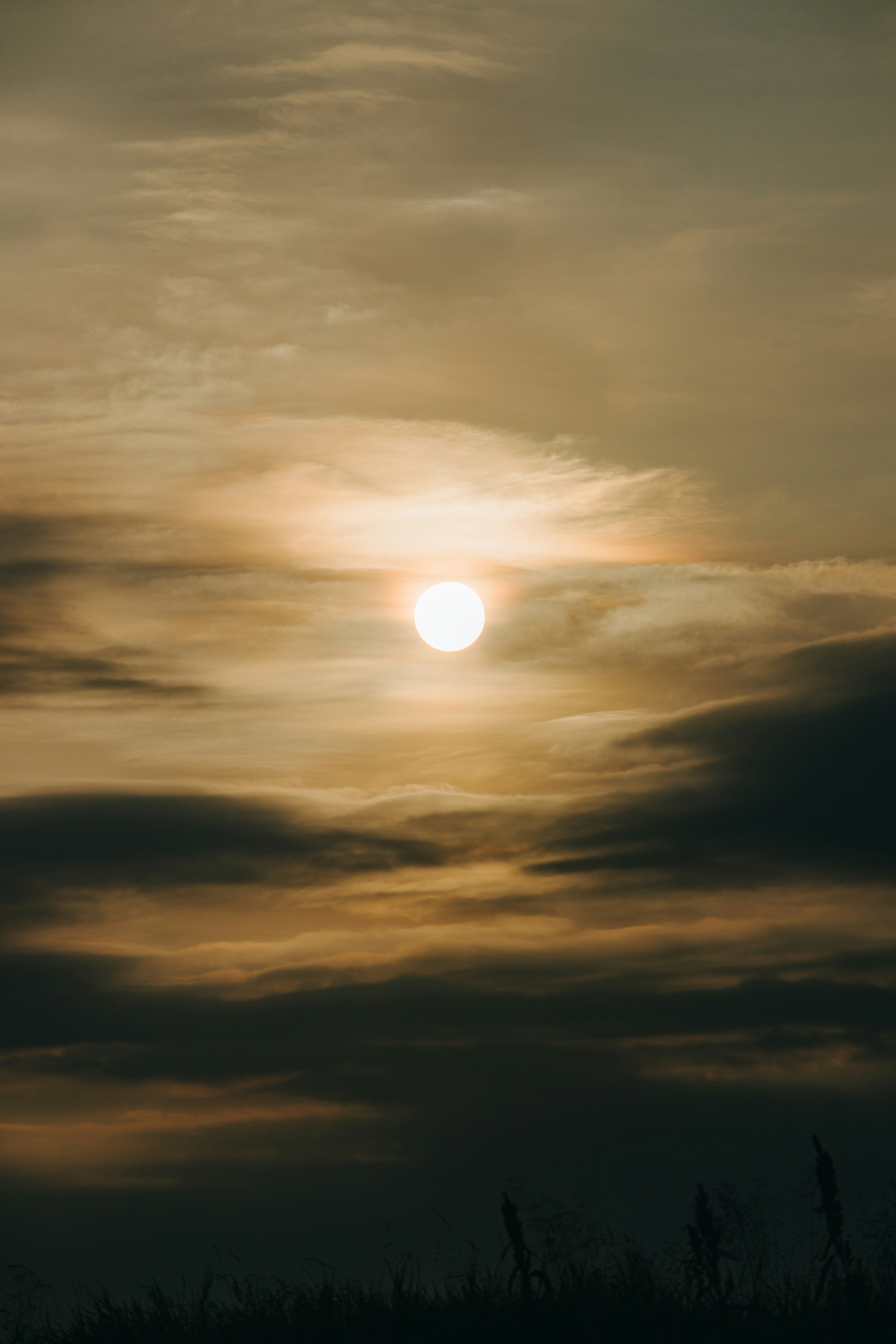 Photo by robertarnar