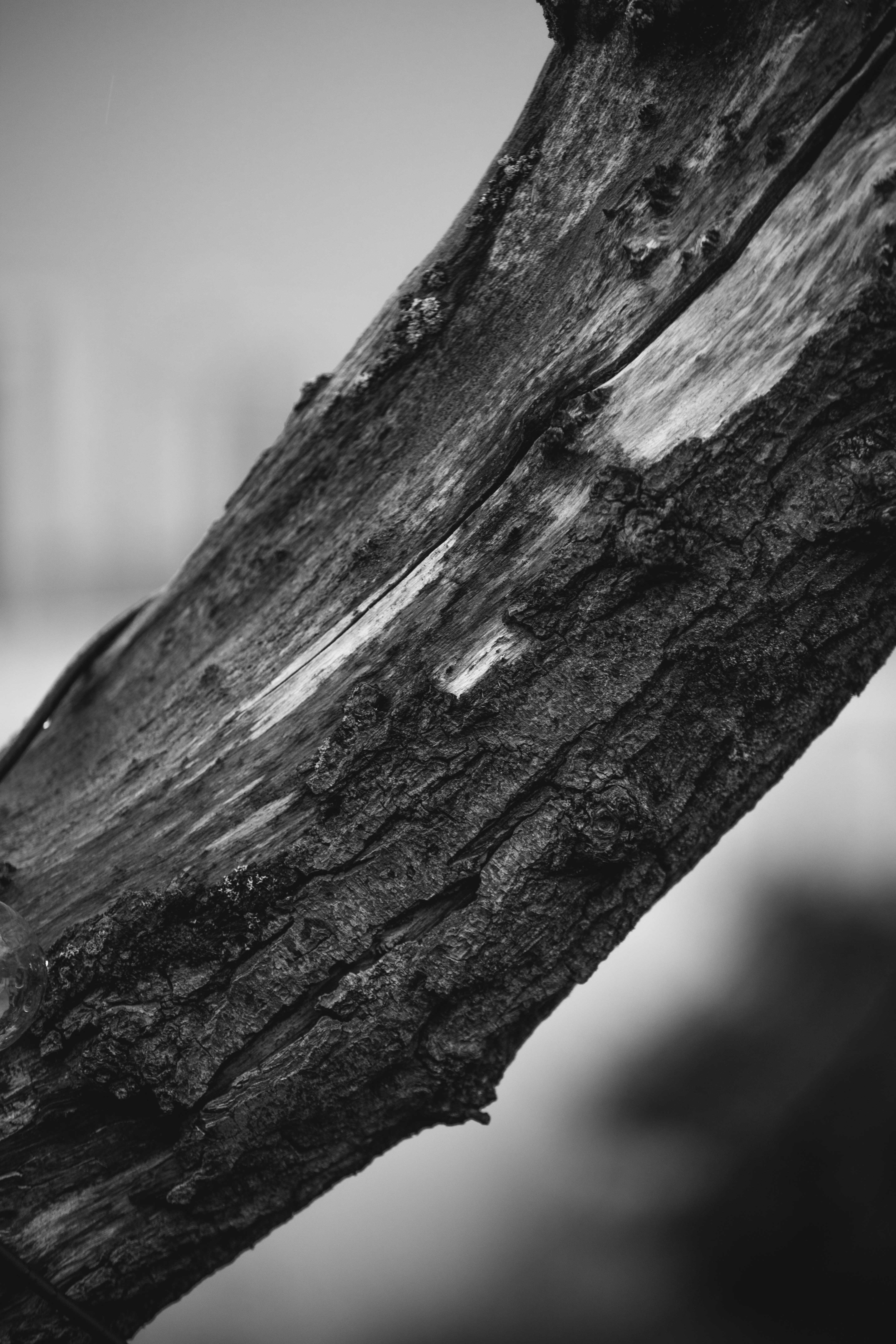 Photo by robertarnar