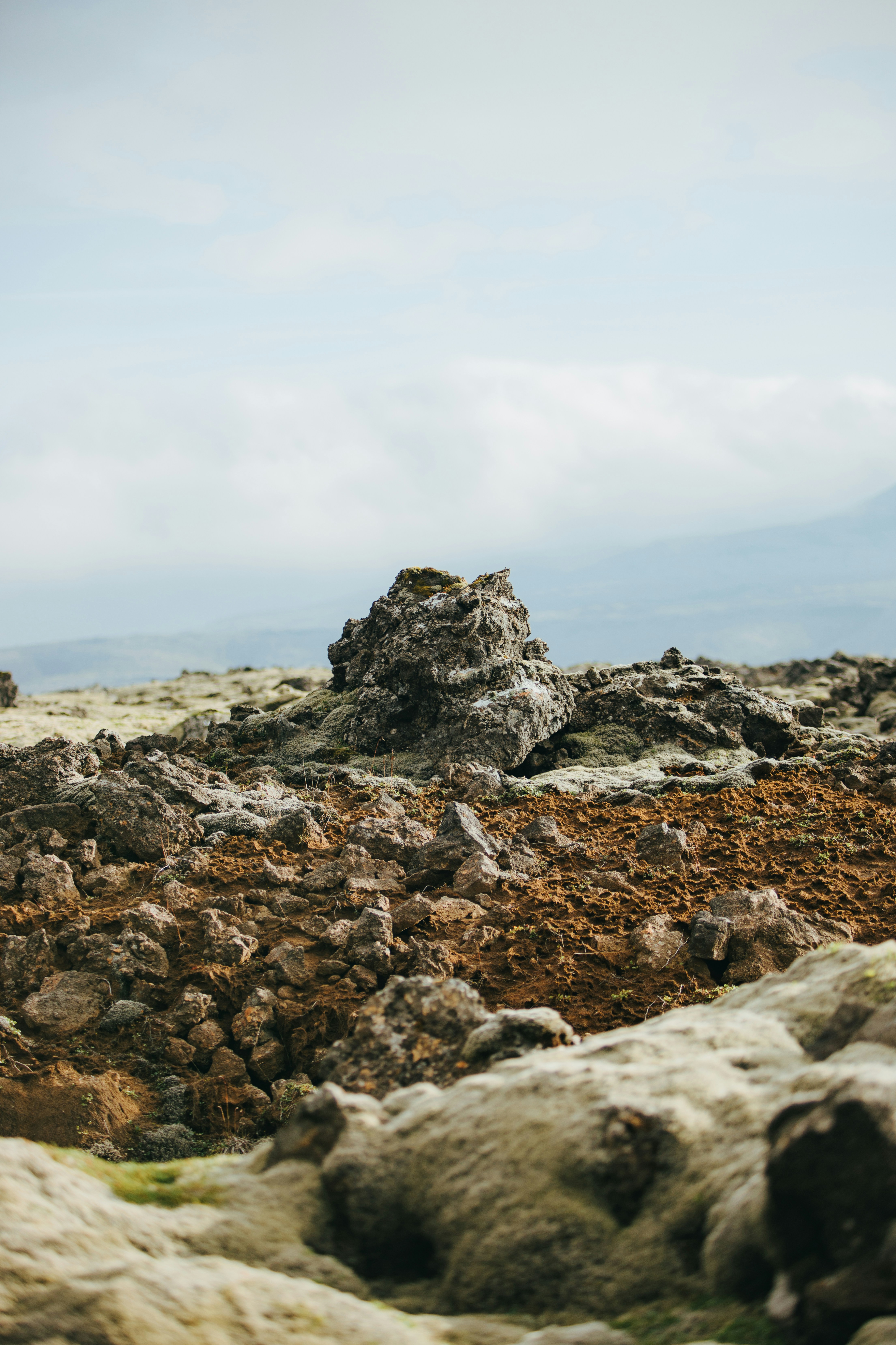 Photo by robertarnar