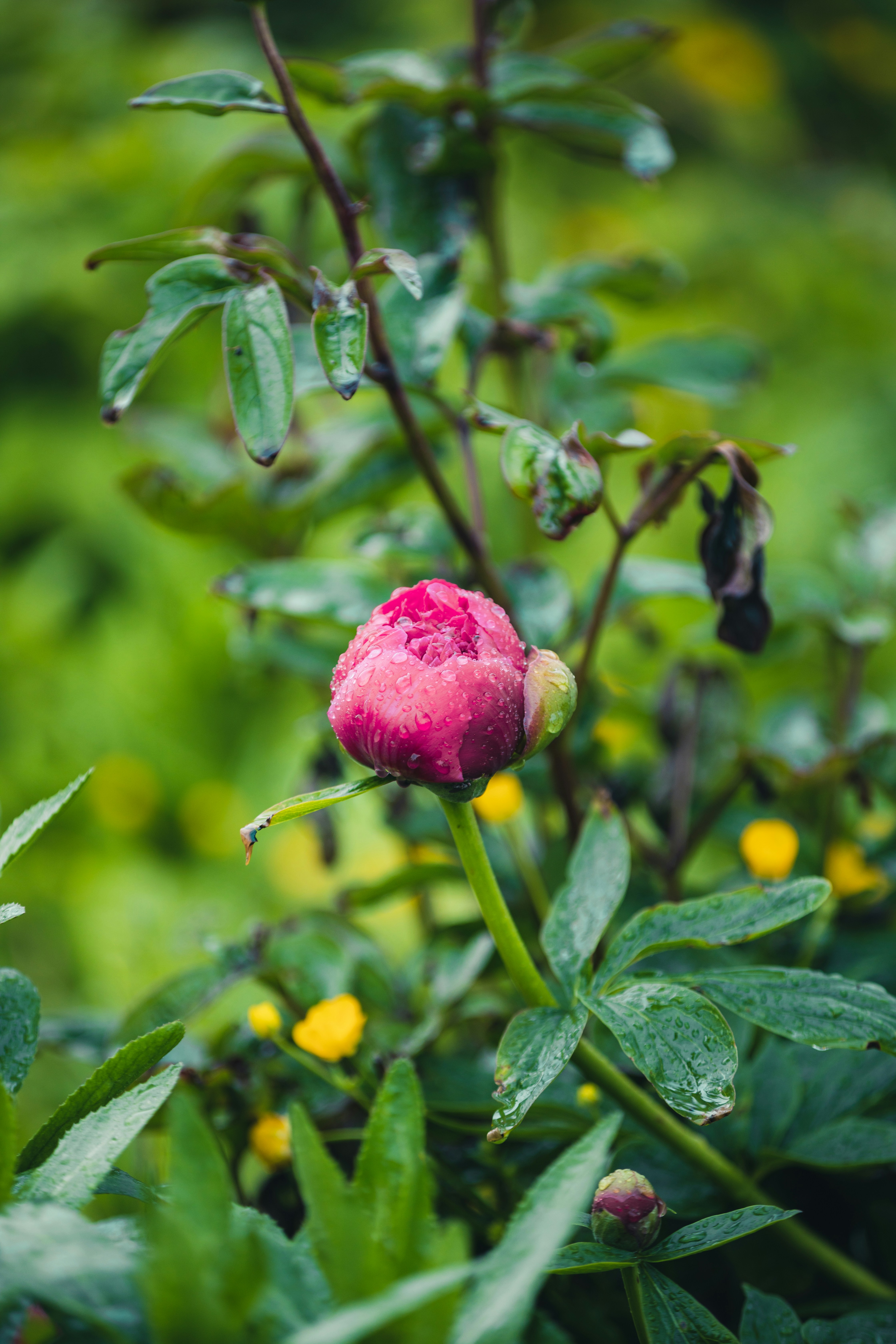 Photo by robertarnar