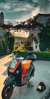 A vibrant scooter parked by a palm tree on a sunny Mauritius beach.
