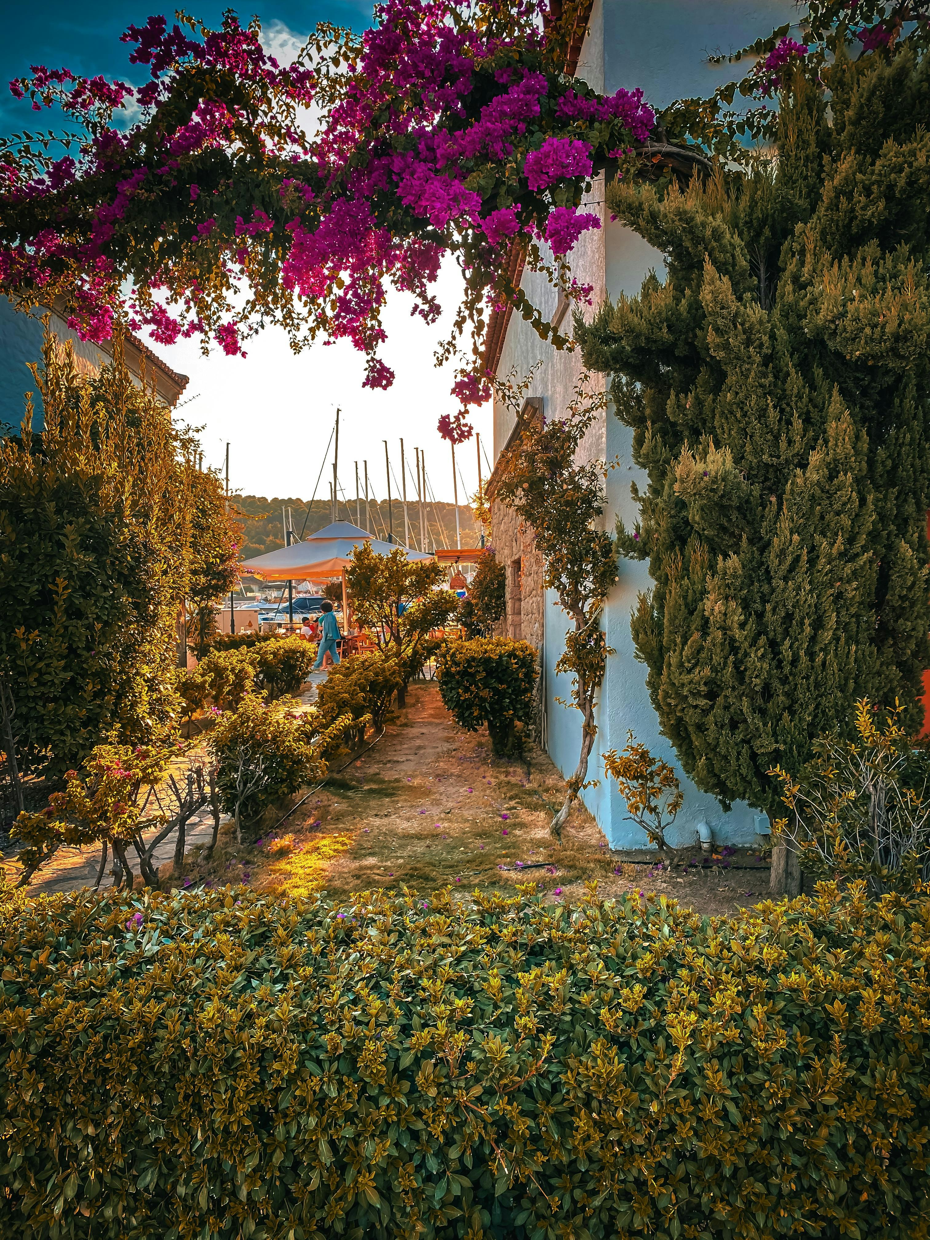 Photo by afsarturgay