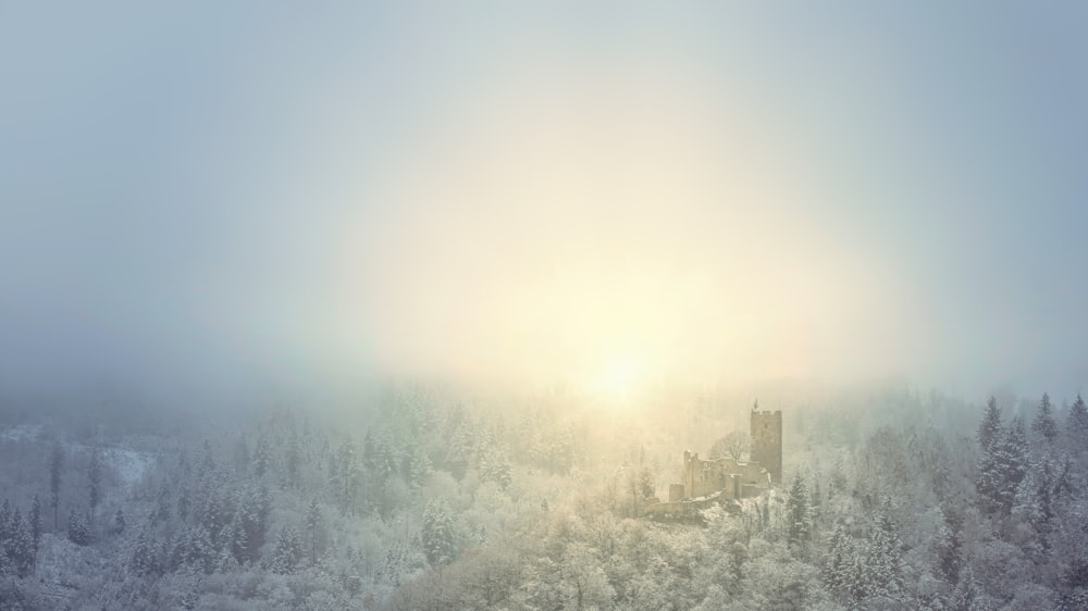 a castle in the middle of a snowy forest