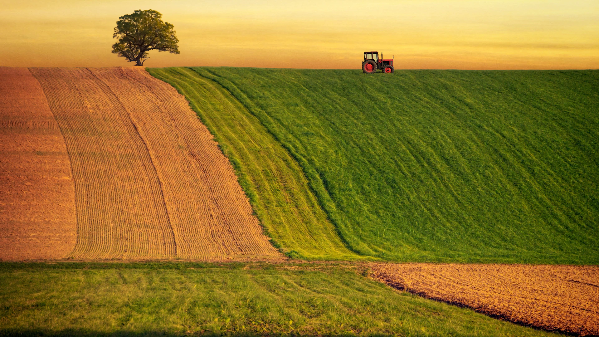 a tractor in the middle of a large field