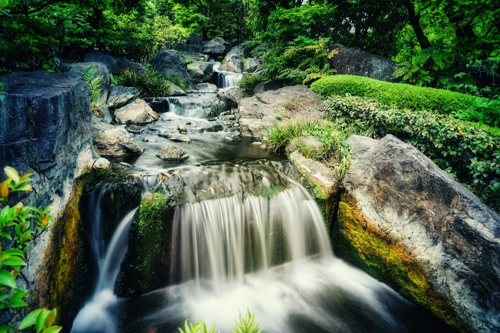 a small waterfall in the middle of a lush green forest