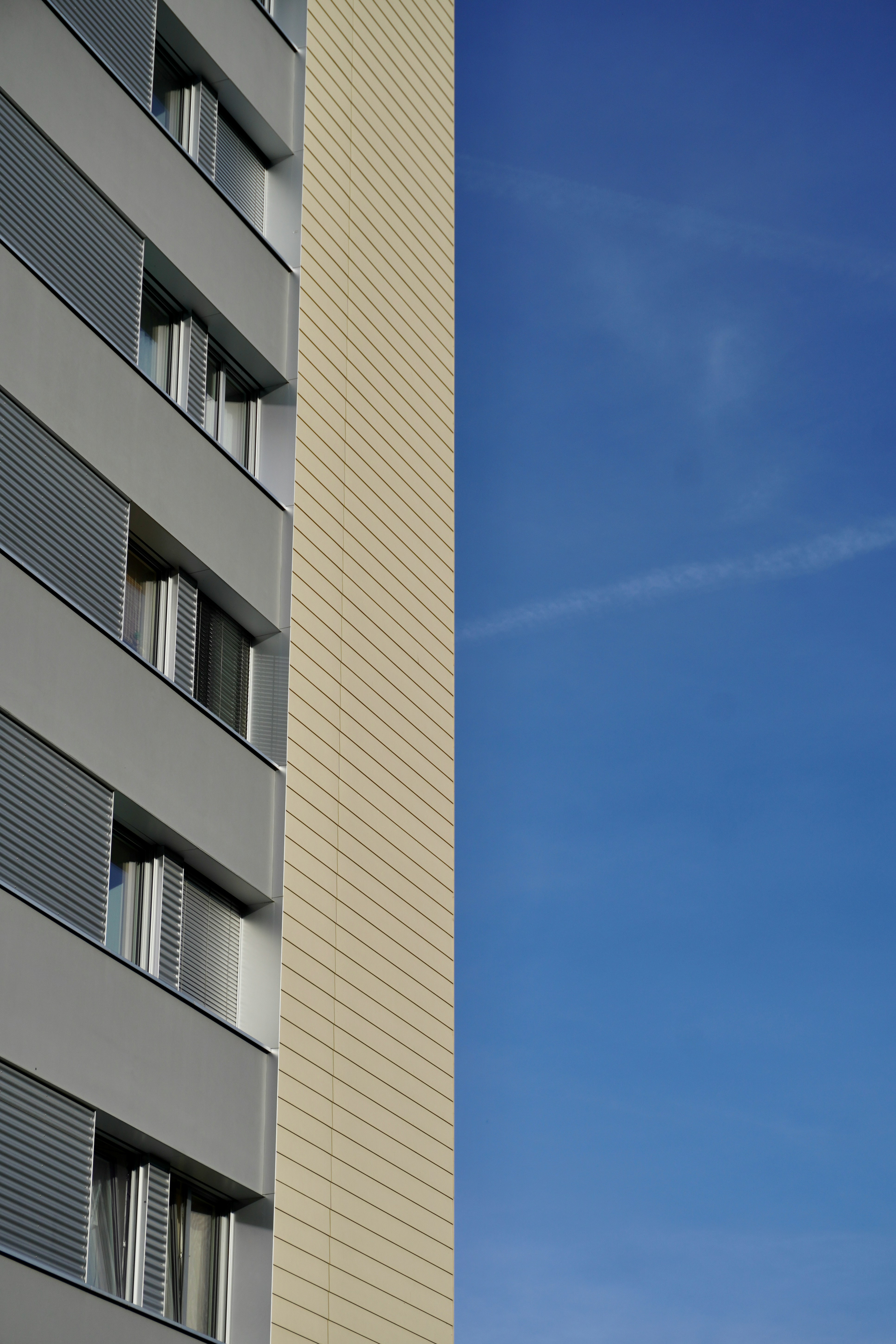 Photo by peterburdon