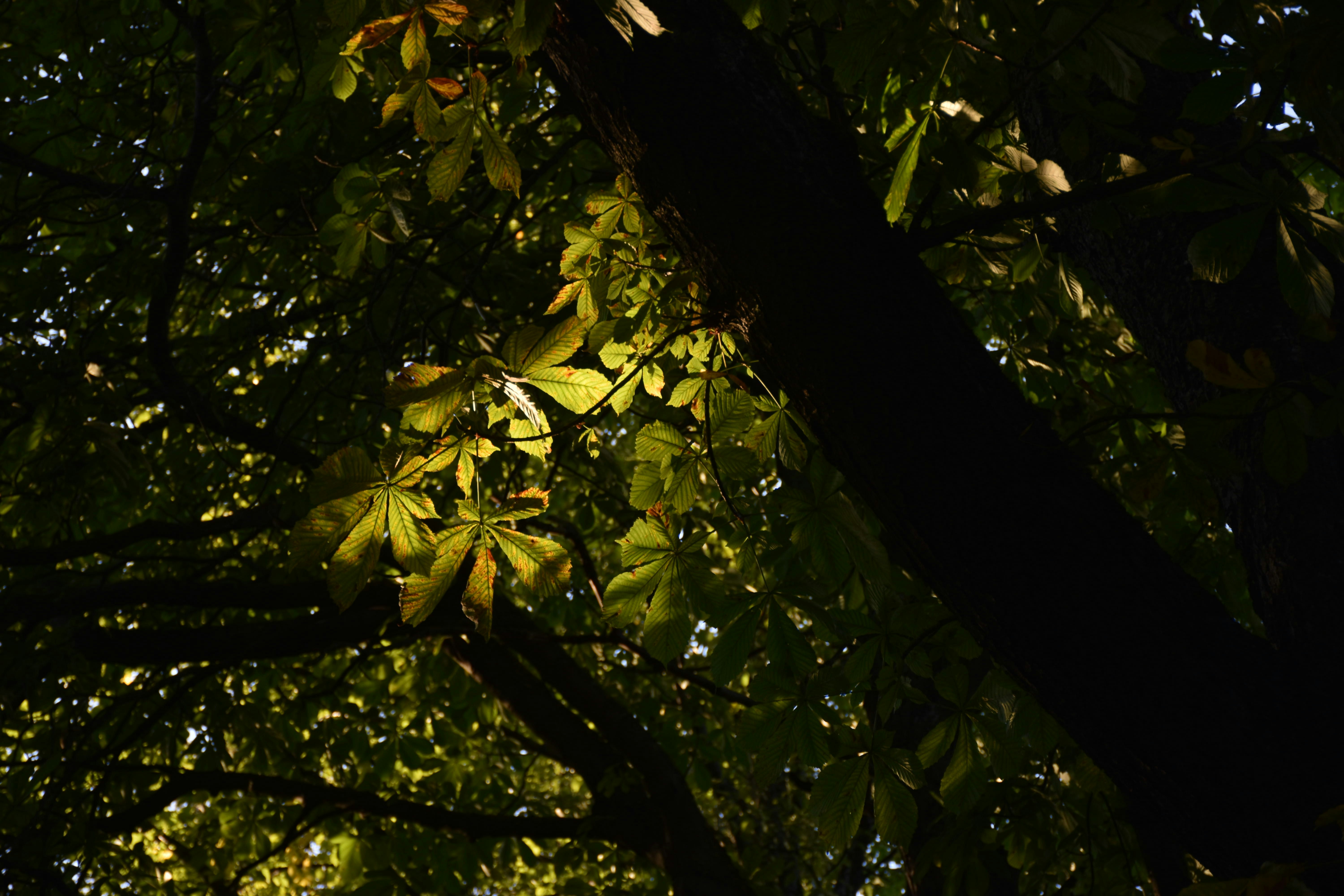 Photo by olga_vyrostko