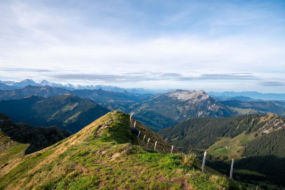 a grassy hill with a fence on top of it