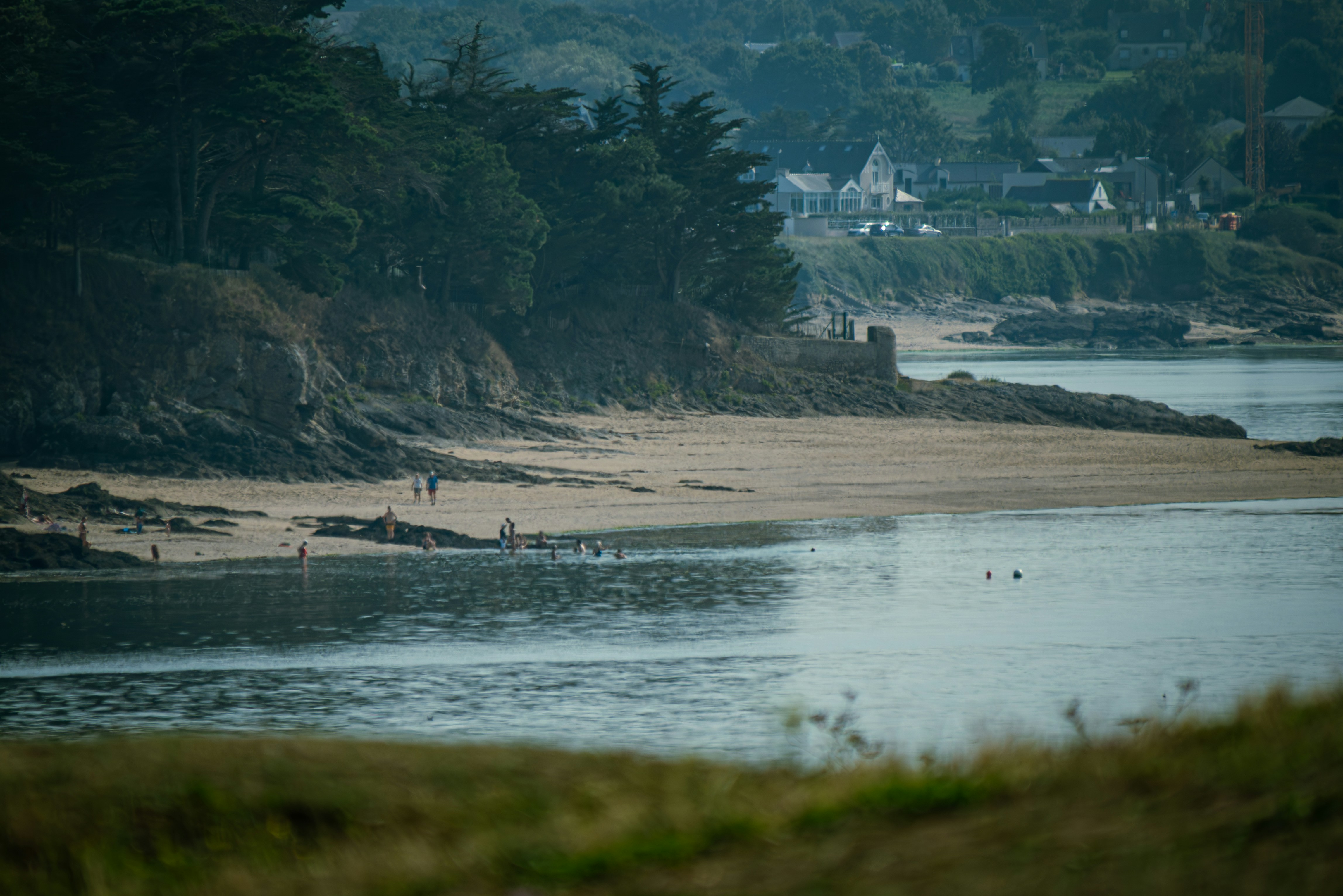 a group of people walking along a beach next to a forest