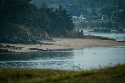 a group of people walking along a beach next to a forest