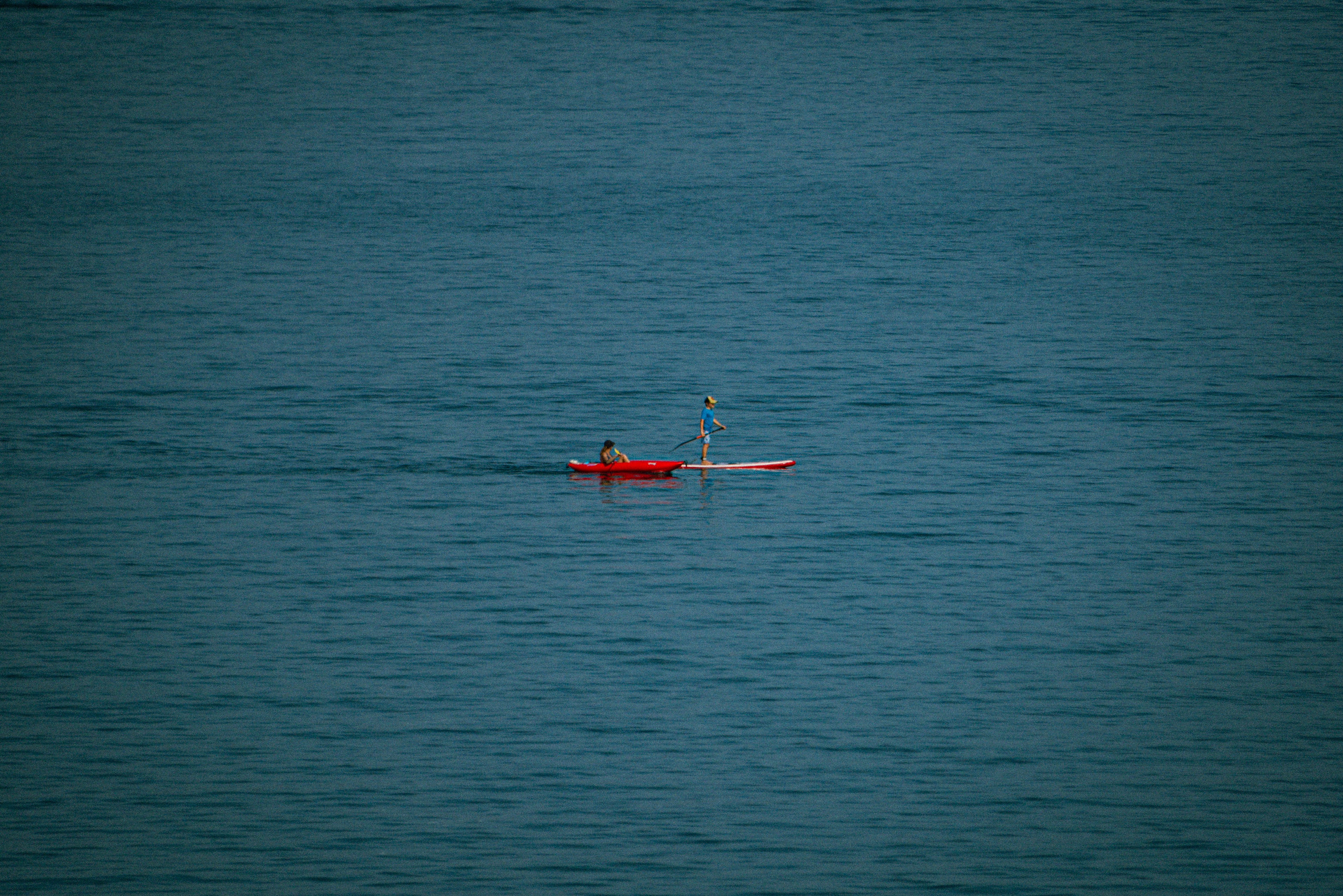 Photo by mattseymour