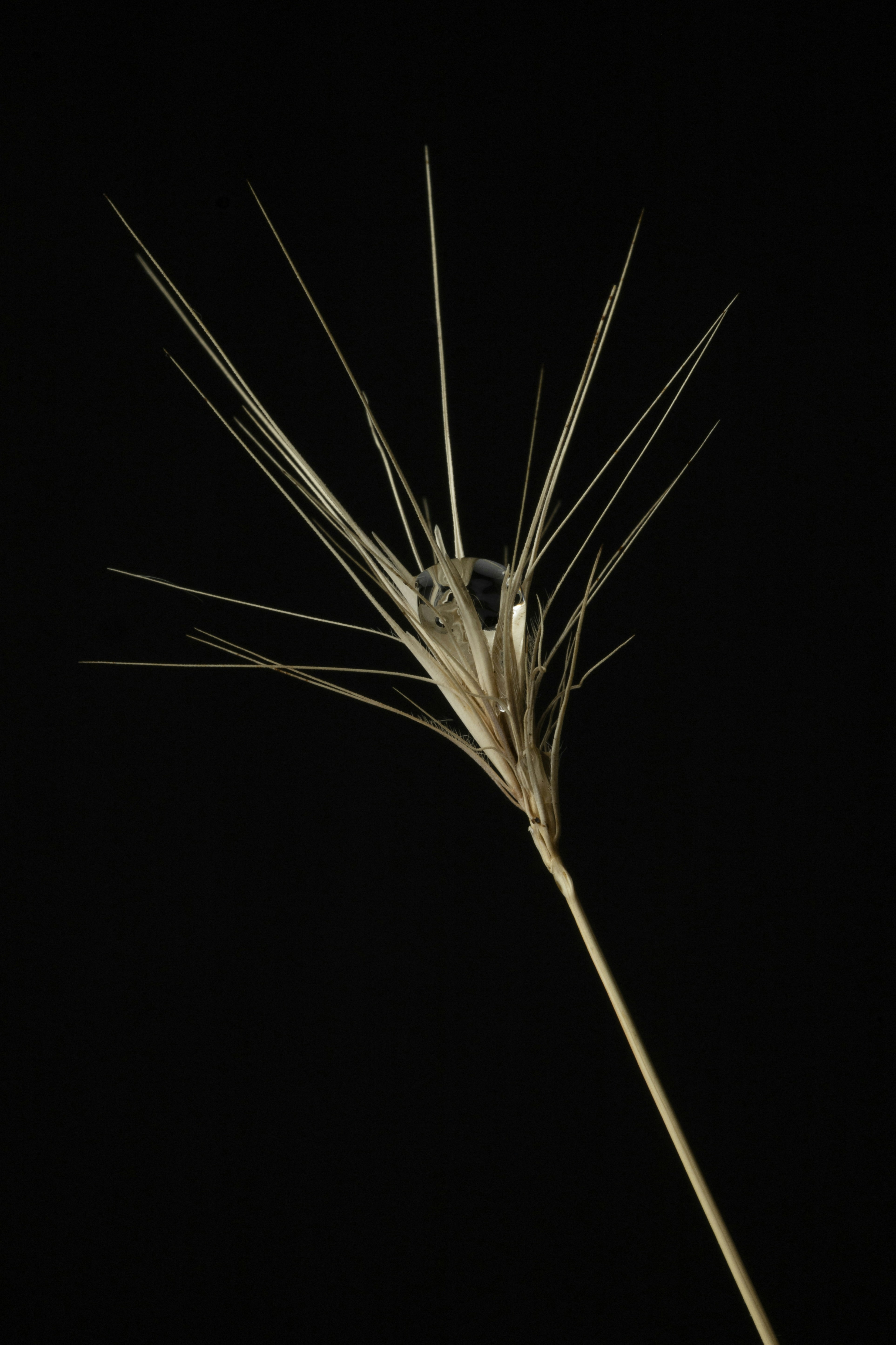 Photo by junior_hector