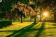 Sunlight casting warm hues over a freshly cut lawn with vibrant colors.