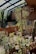 A sunlit indoor garden with various potted cacti and succulent plants, surrounded by glass panels and a slanted glass ceiling. The sunlight creates contrasting shadows and highlights on the plants, enhancing their textures and shades of green.