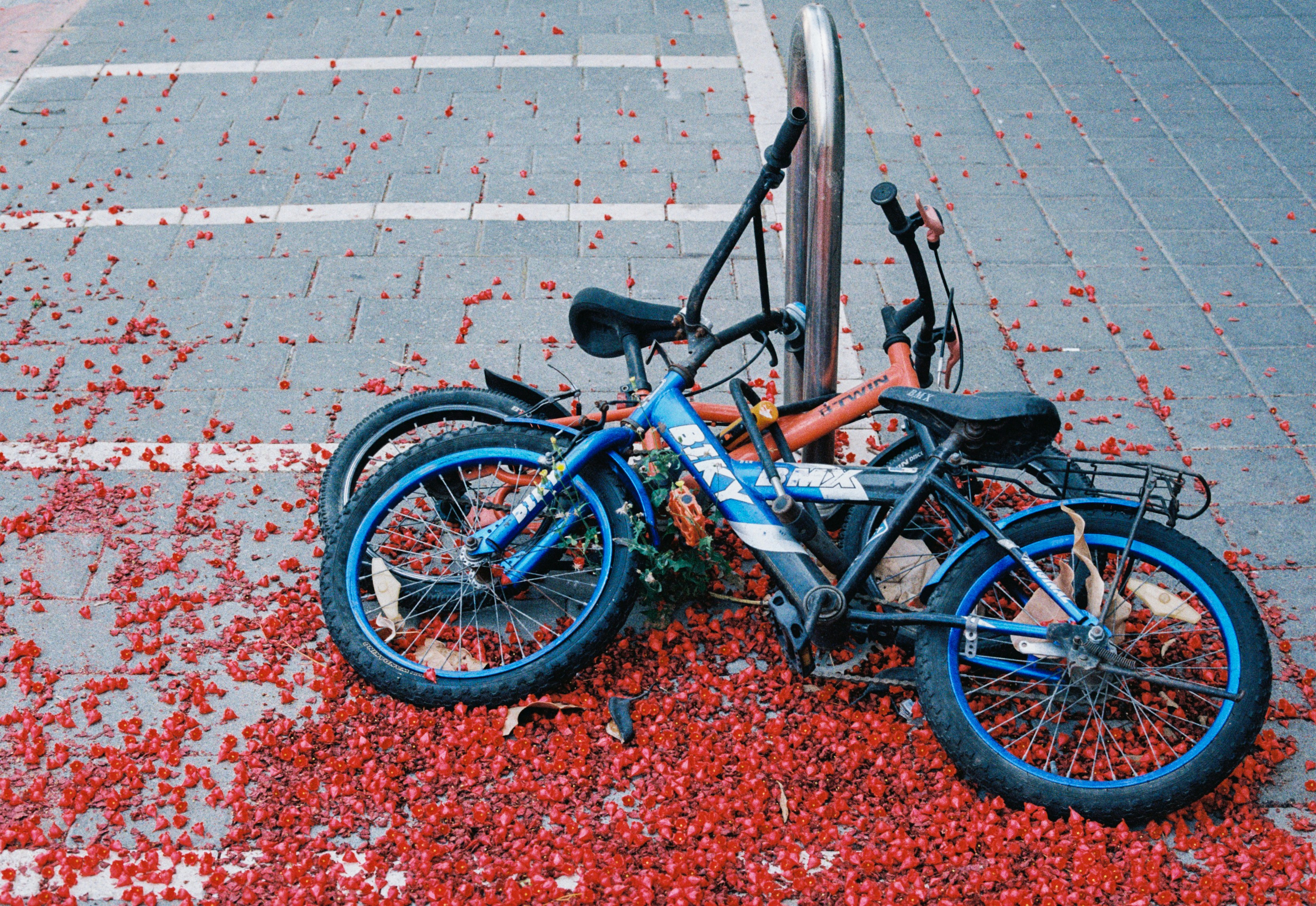 Una bicicleta que está tirada en el suelo