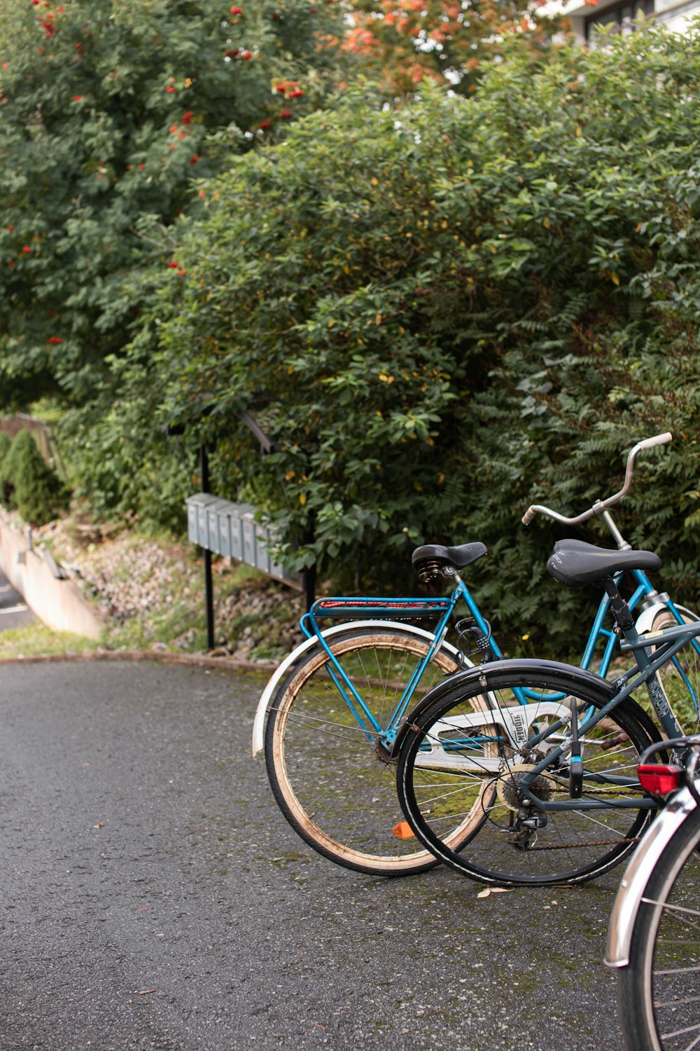 a couple of bikes parked next to each other