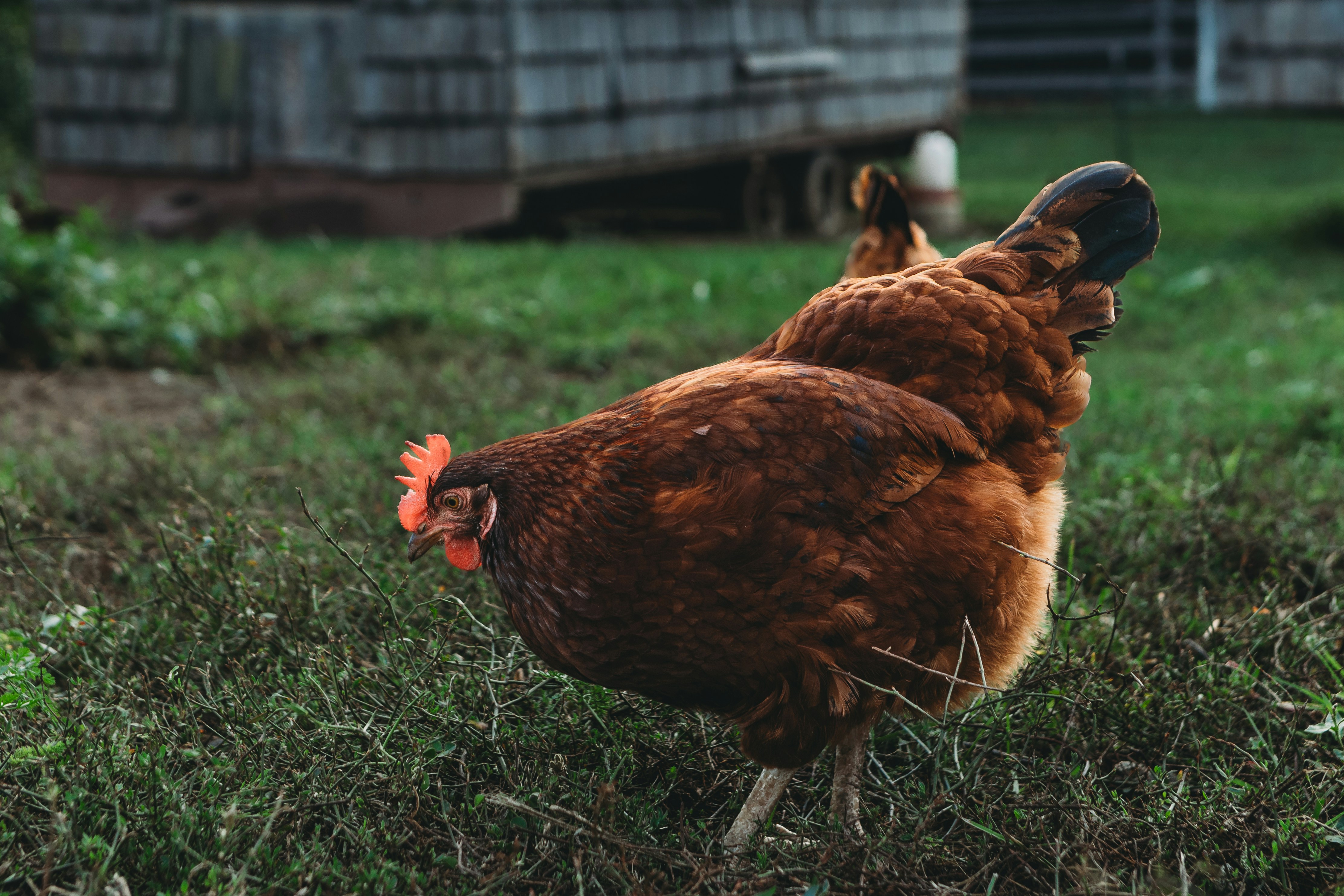 Photo by stevenvanelk